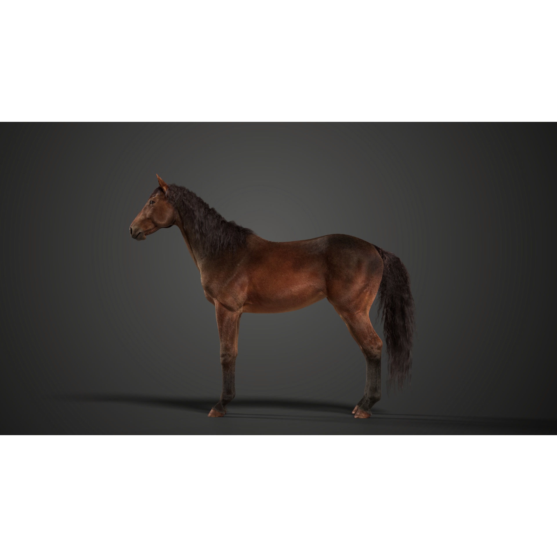 Brown Horse Animation VFX Grace 3D model 7