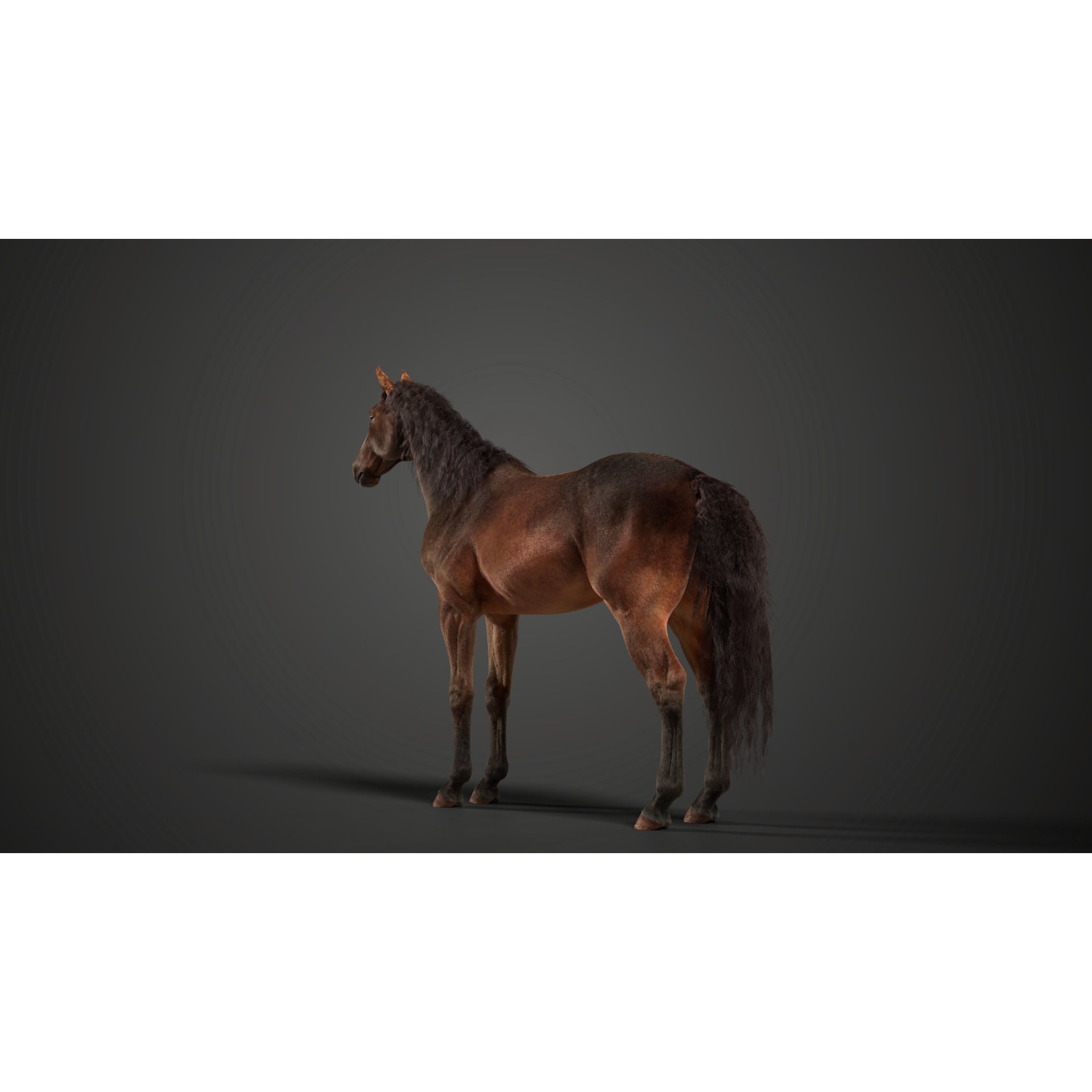 Brown Horse Animation VFX Grace 3D model 8