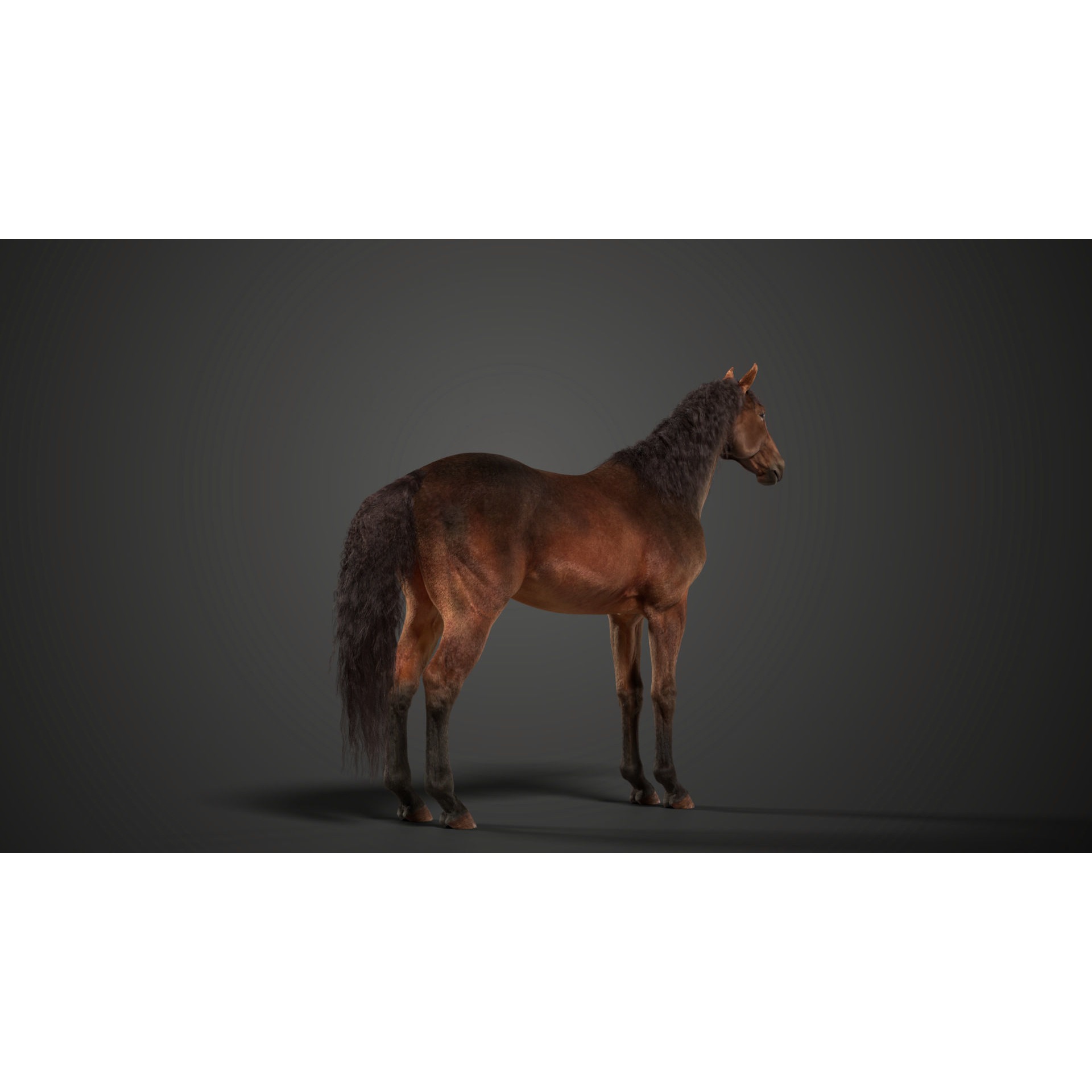 Brown Horse Animation VFX Grace 3D model 9