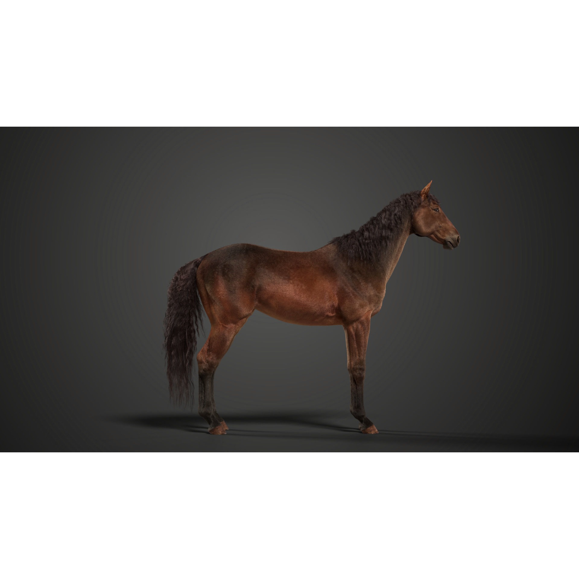 Brown Horse Animation VFX Grace 3D model 10