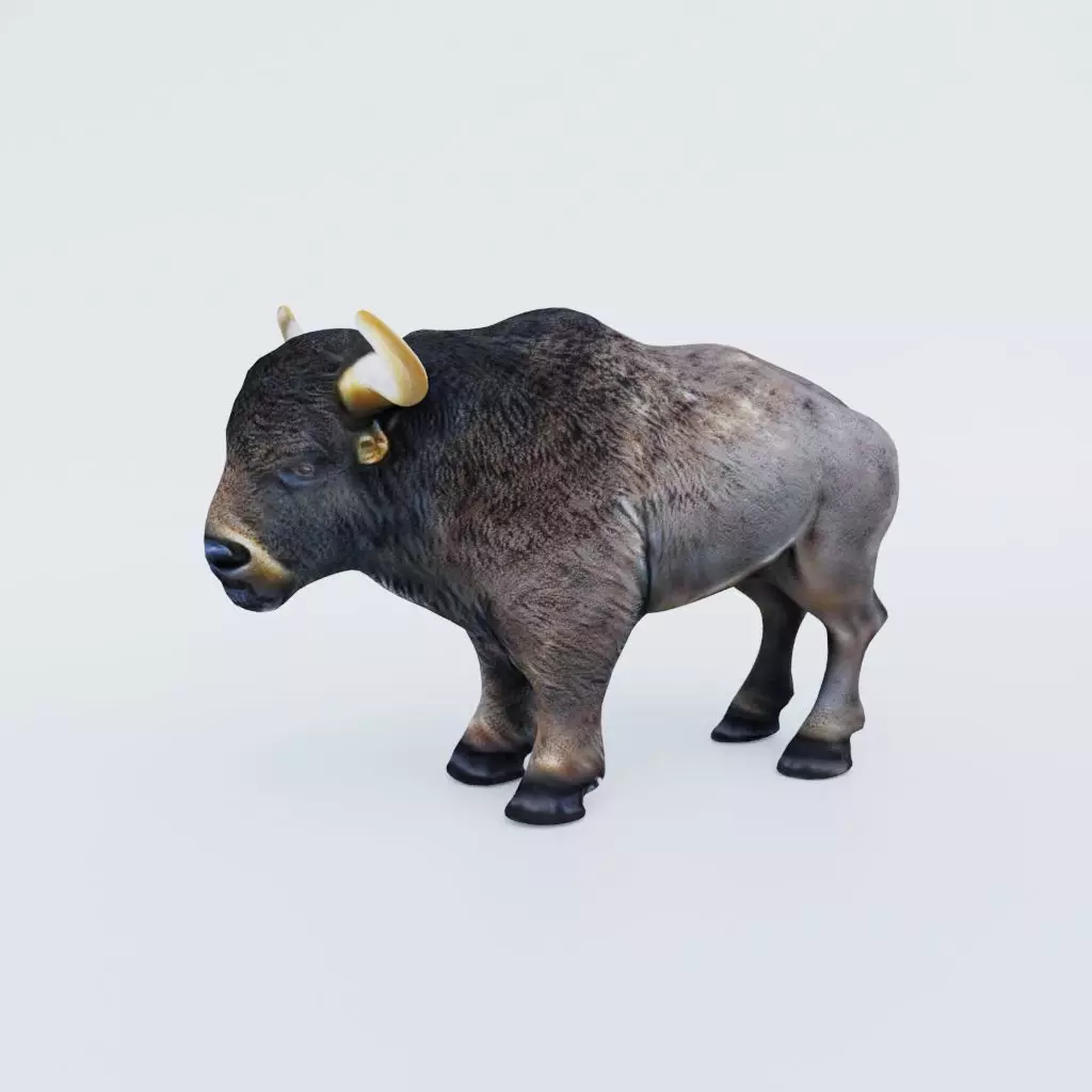 Buffalo Free 3D model