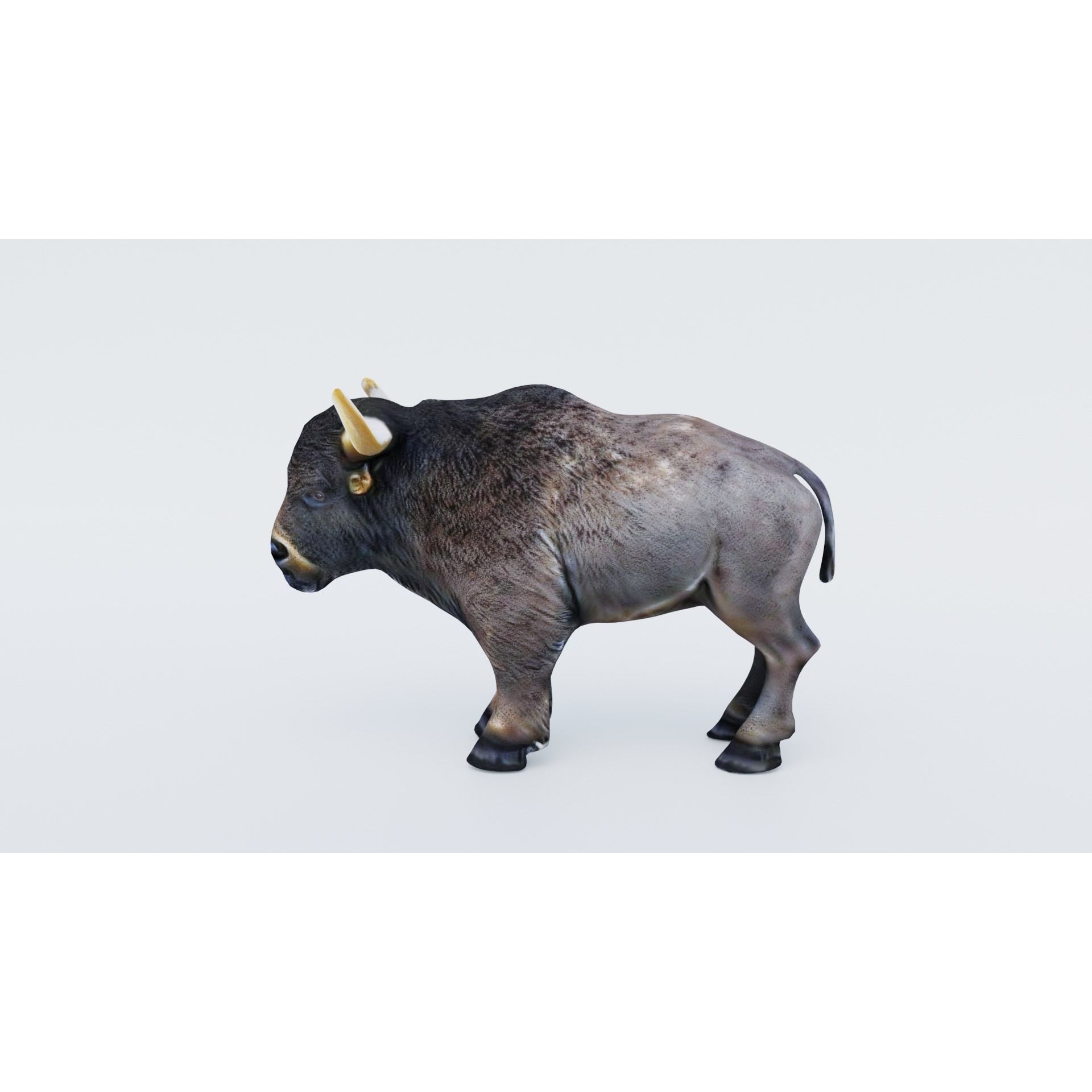 Buffalo Free 3D model 2