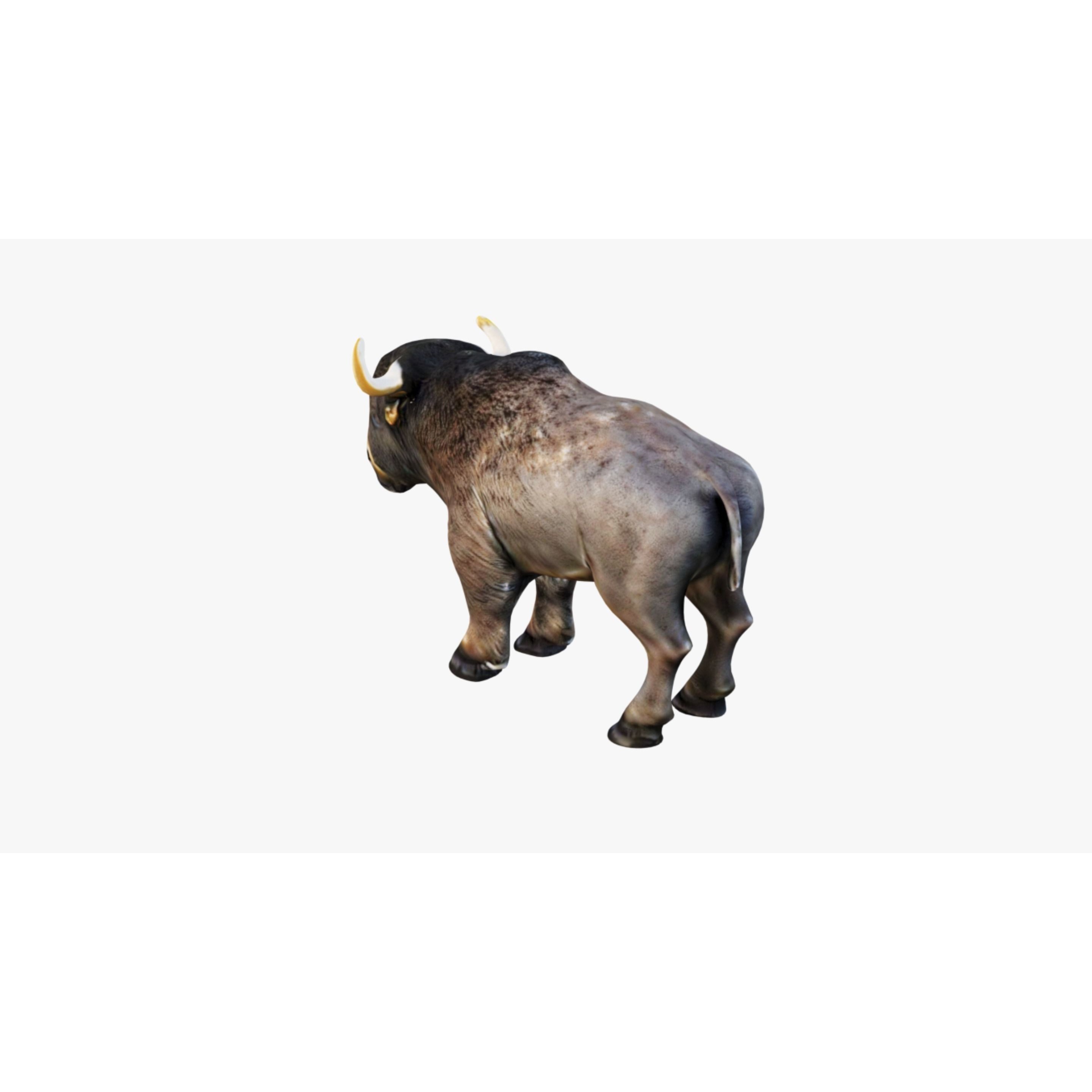 Buffalo Free 3D model 4