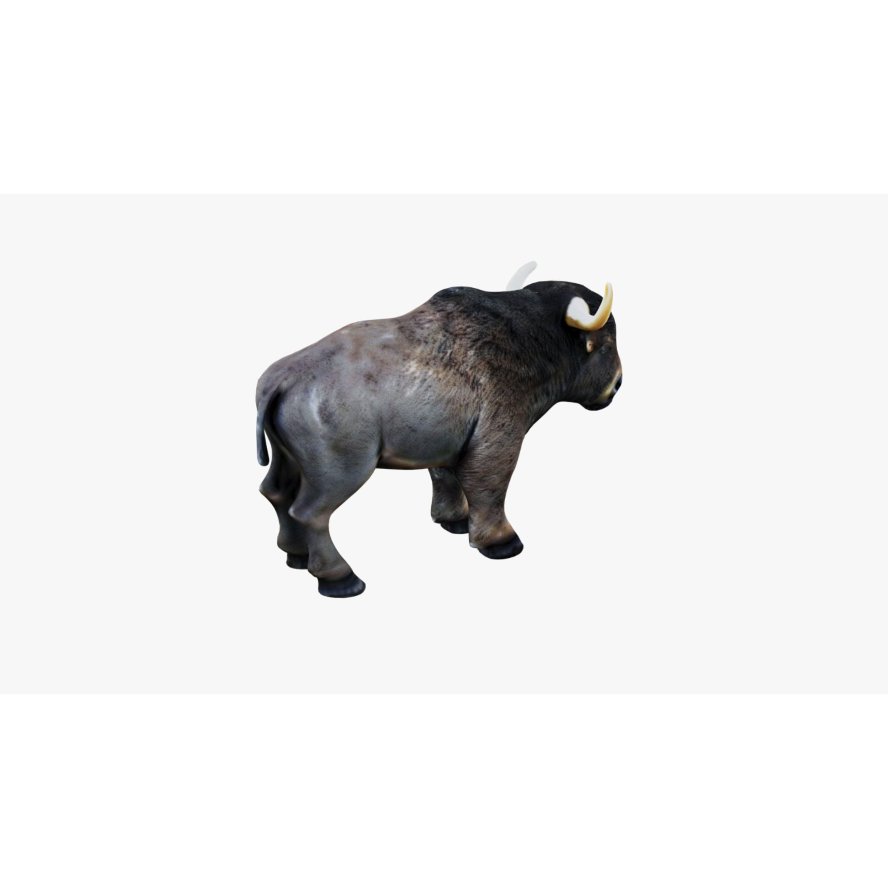 Buffalo Free 3D model 5