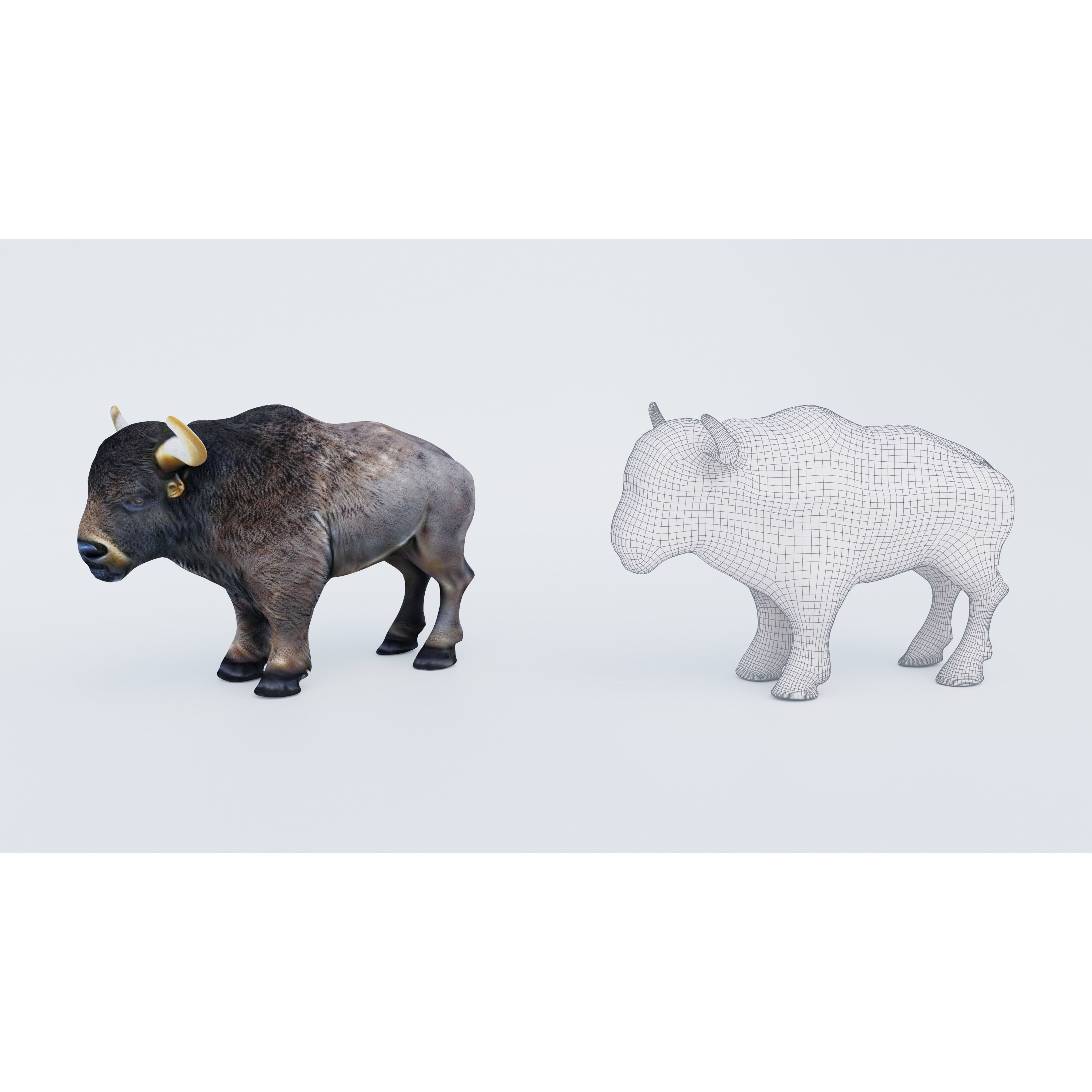 Buffalo Free 3D model 6