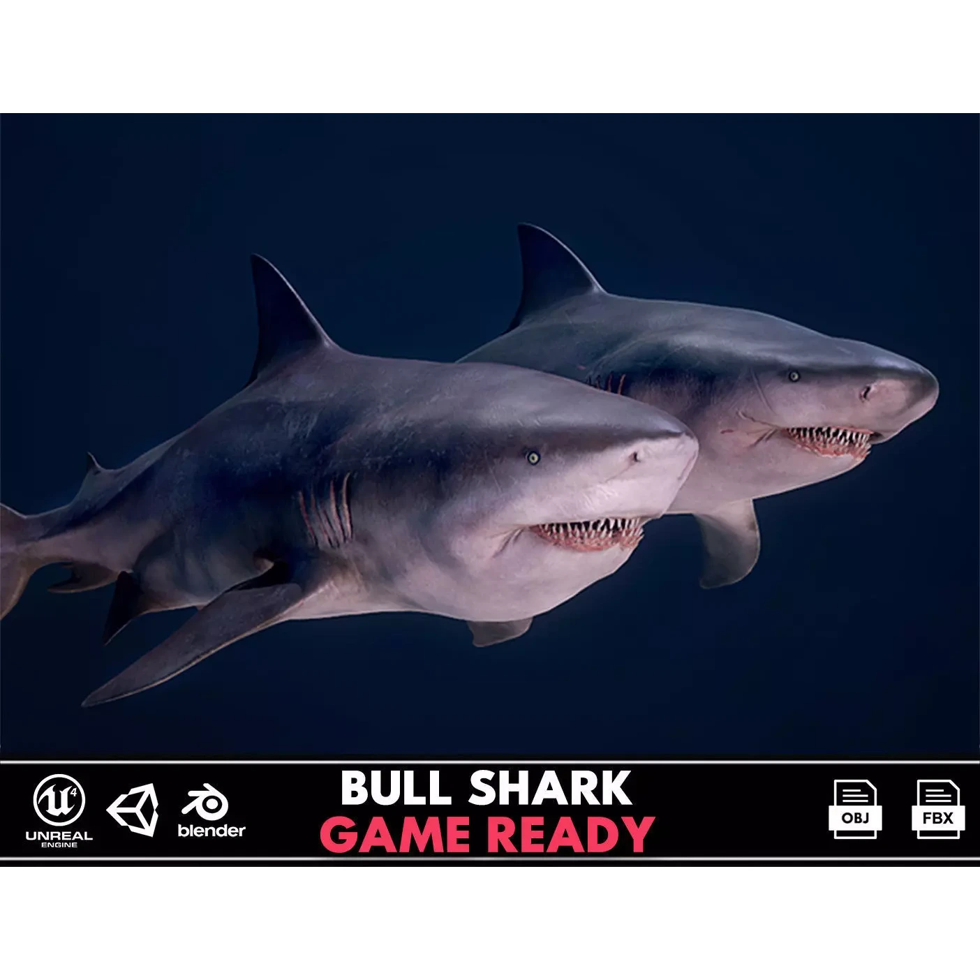 Bull Sharks Low-poly 3D model