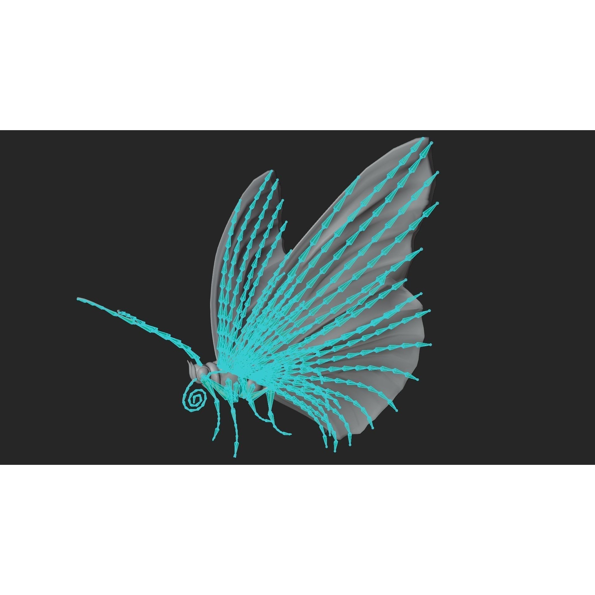 Butterfly Agraulis vanillae Animated 3D model 4