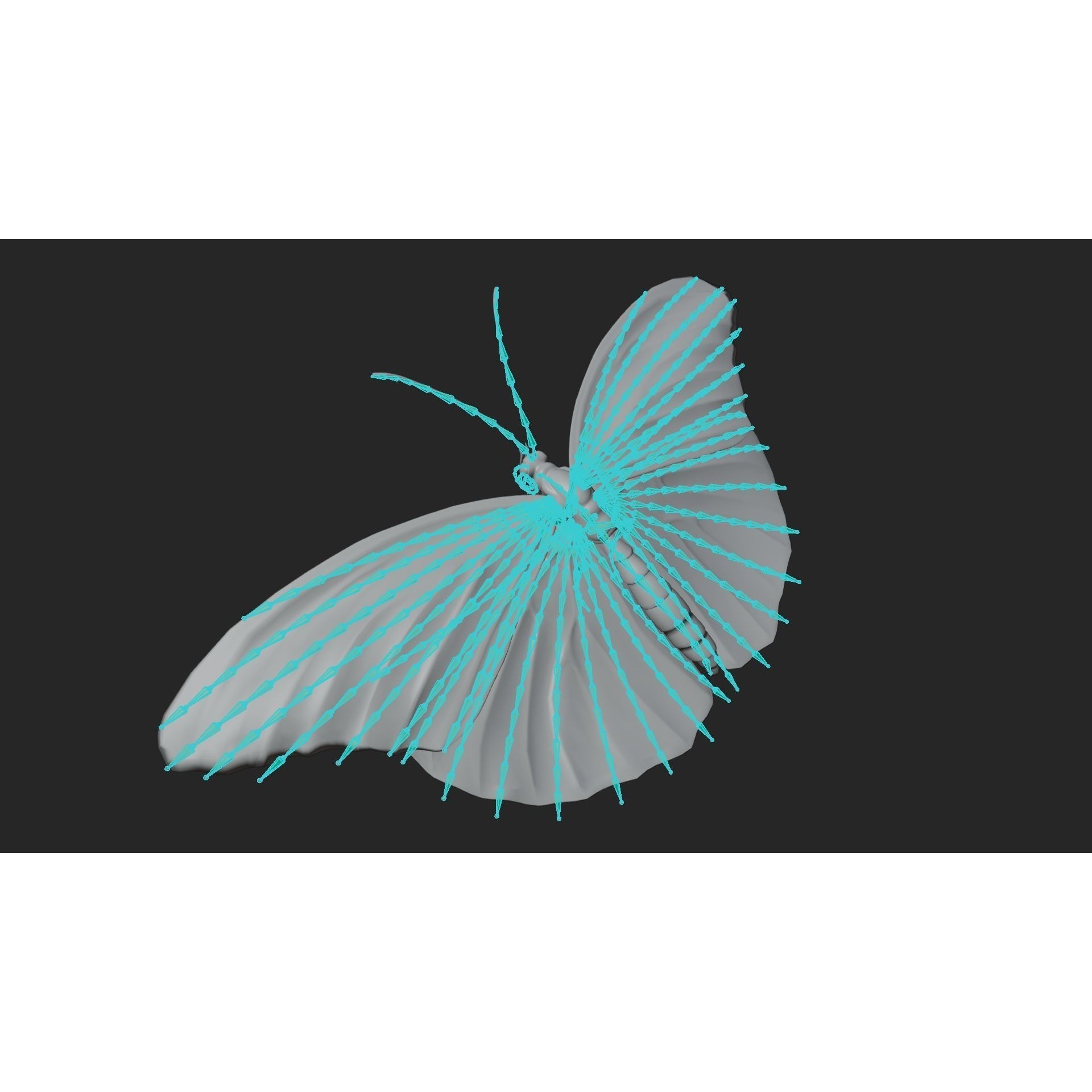 Butterfly Agraulis vanillae Animated 3D model 6
