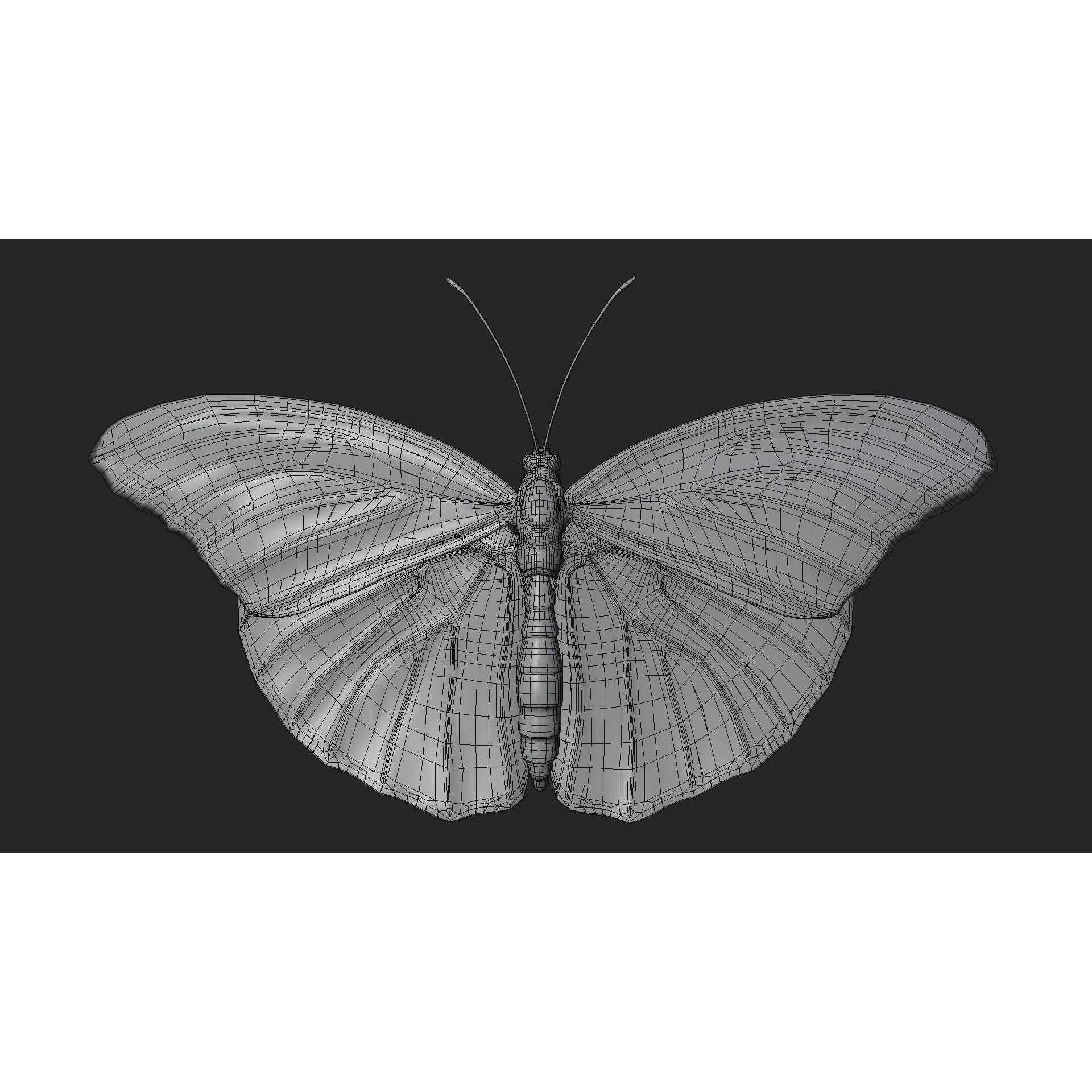 Butterfly Agraulis vanillae Animated 3D model 8