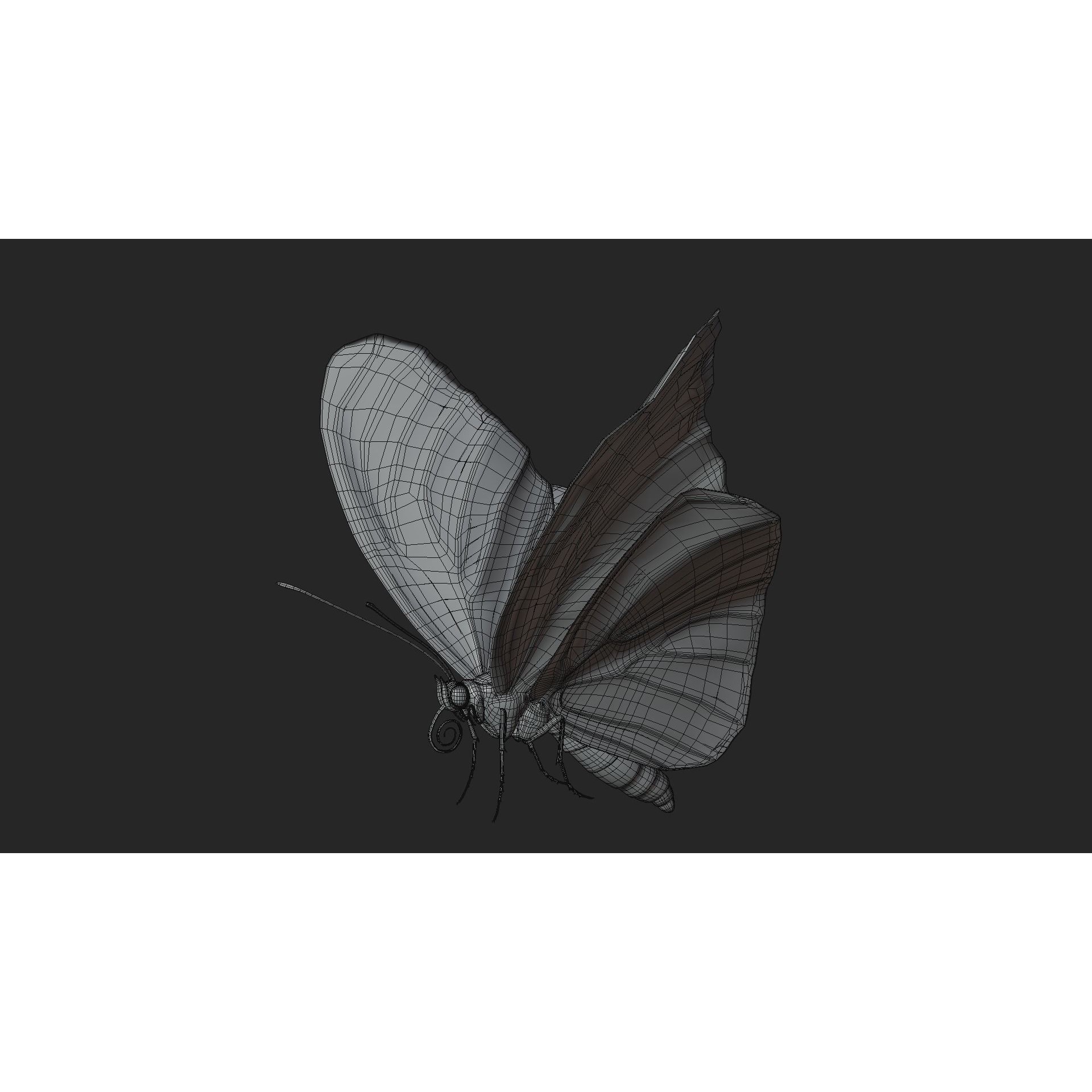 Butterfly Agraulis vanillae Animated 3D model 10