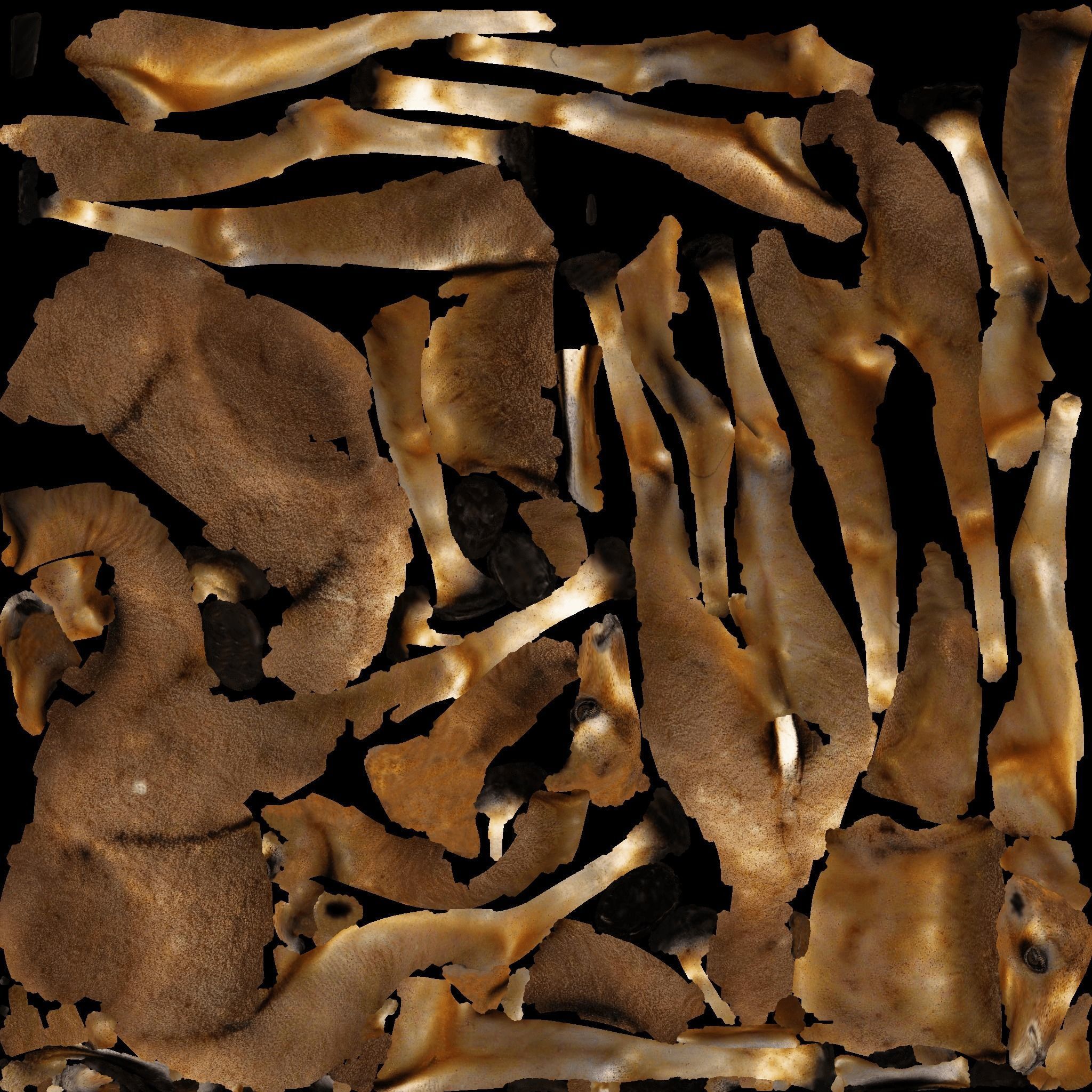 Camel Free 3D model 8