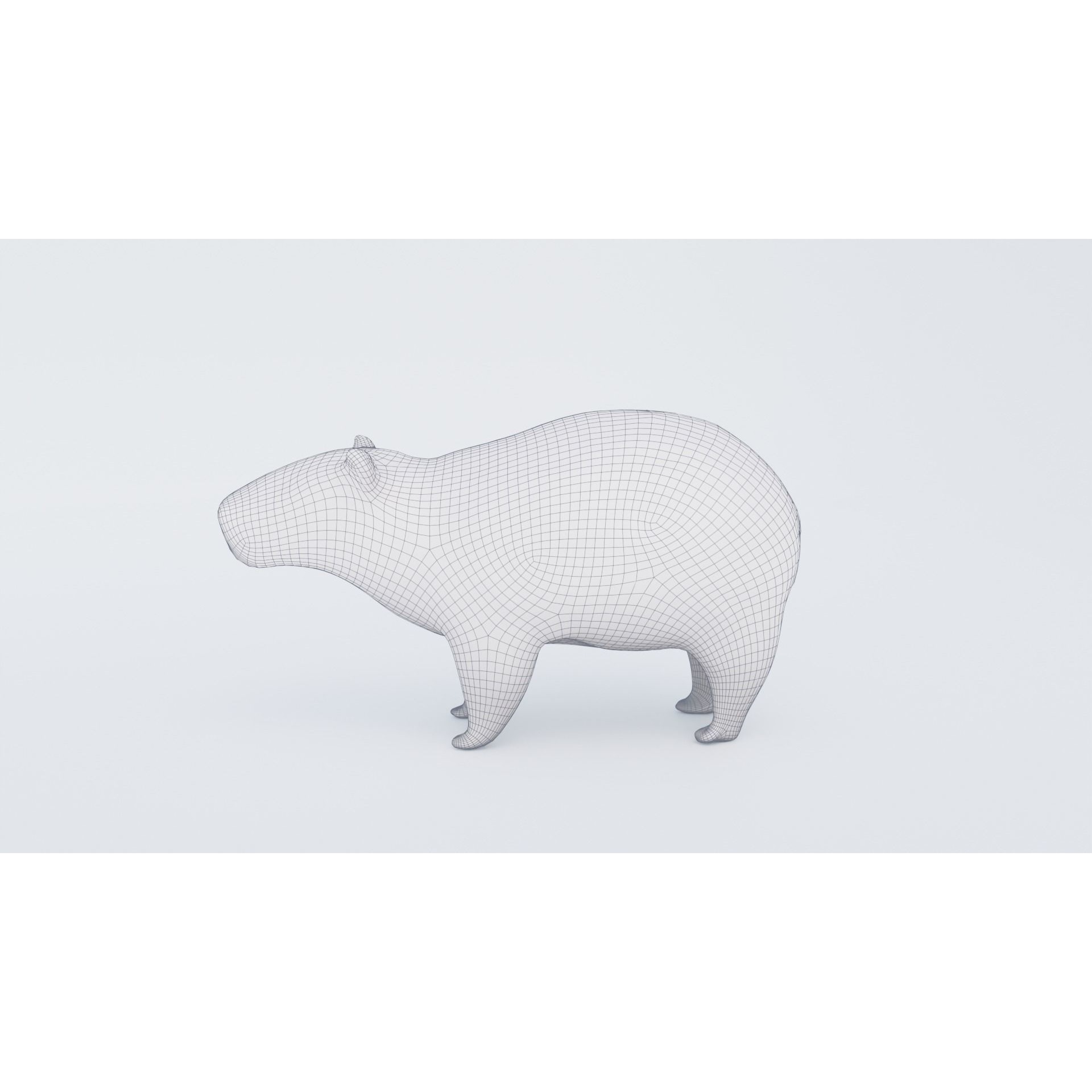 Capybara Free 3D model 7