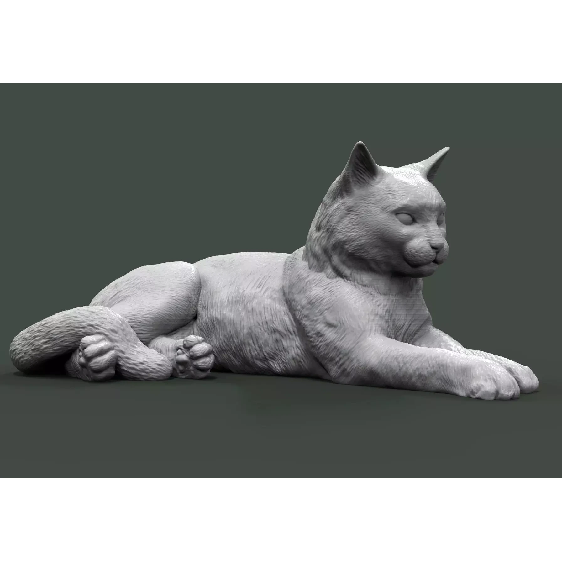 Cat for 3d printing 3D print model