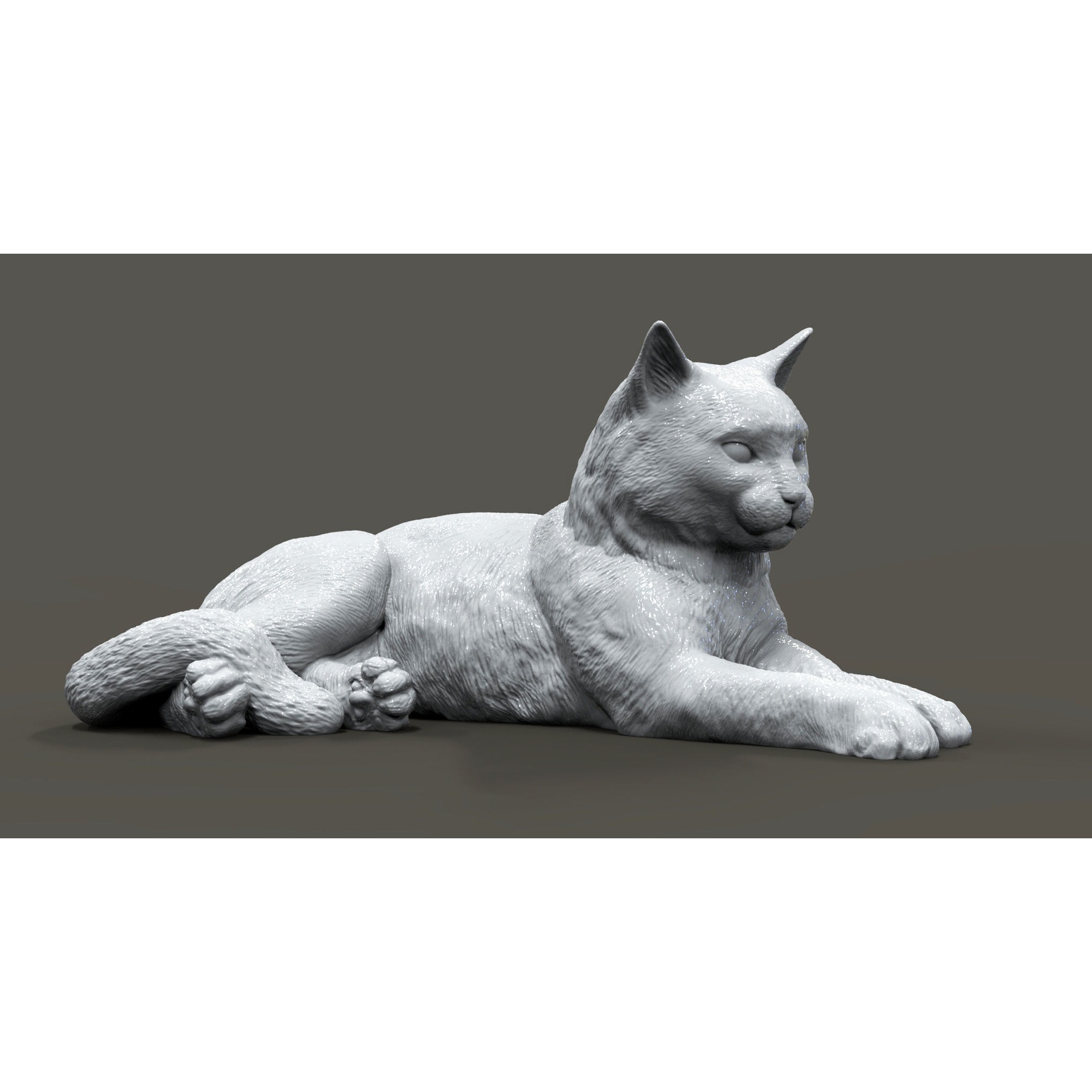 Cat for 3d printing 3D print model 2