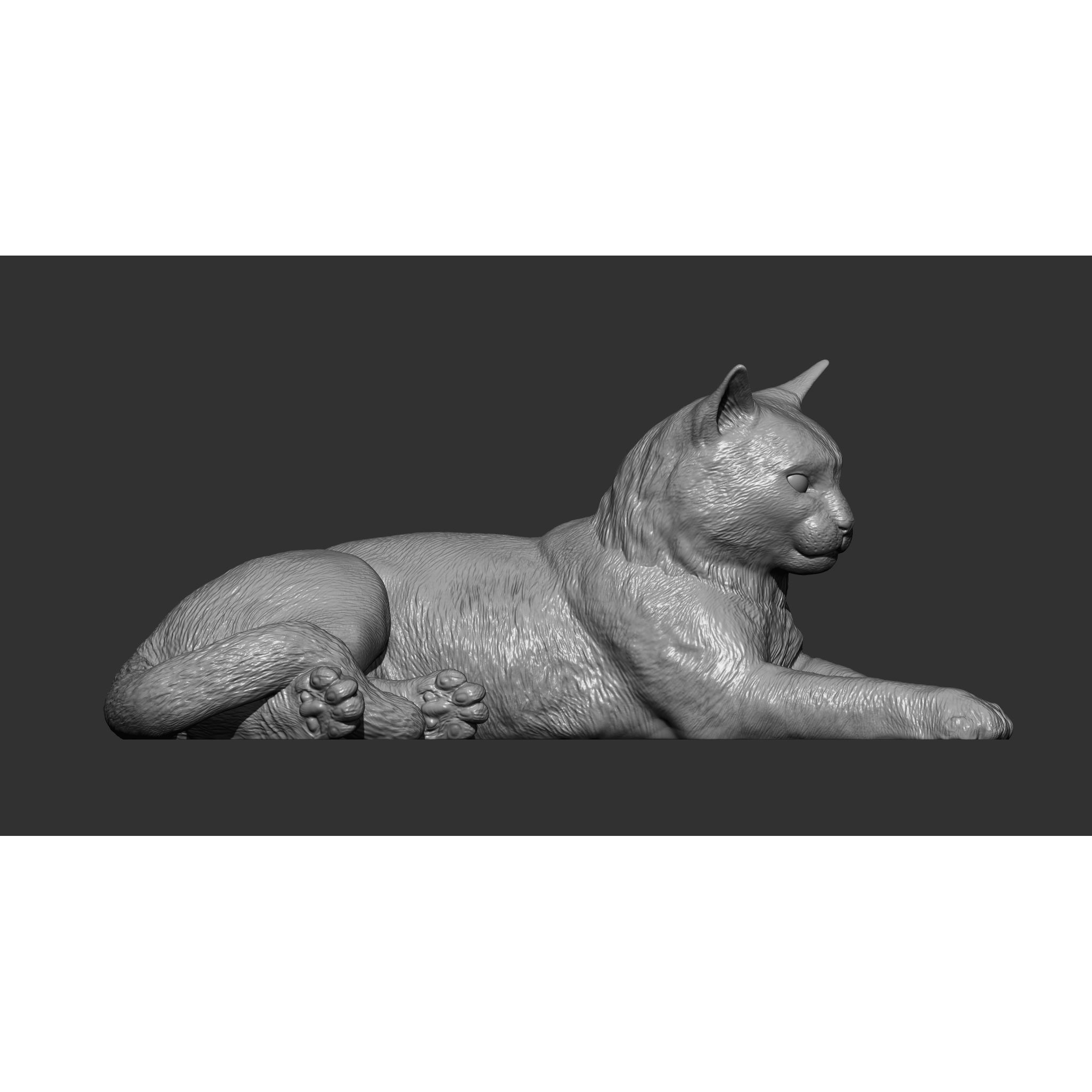 Cat for 3d printing 3D print model 3