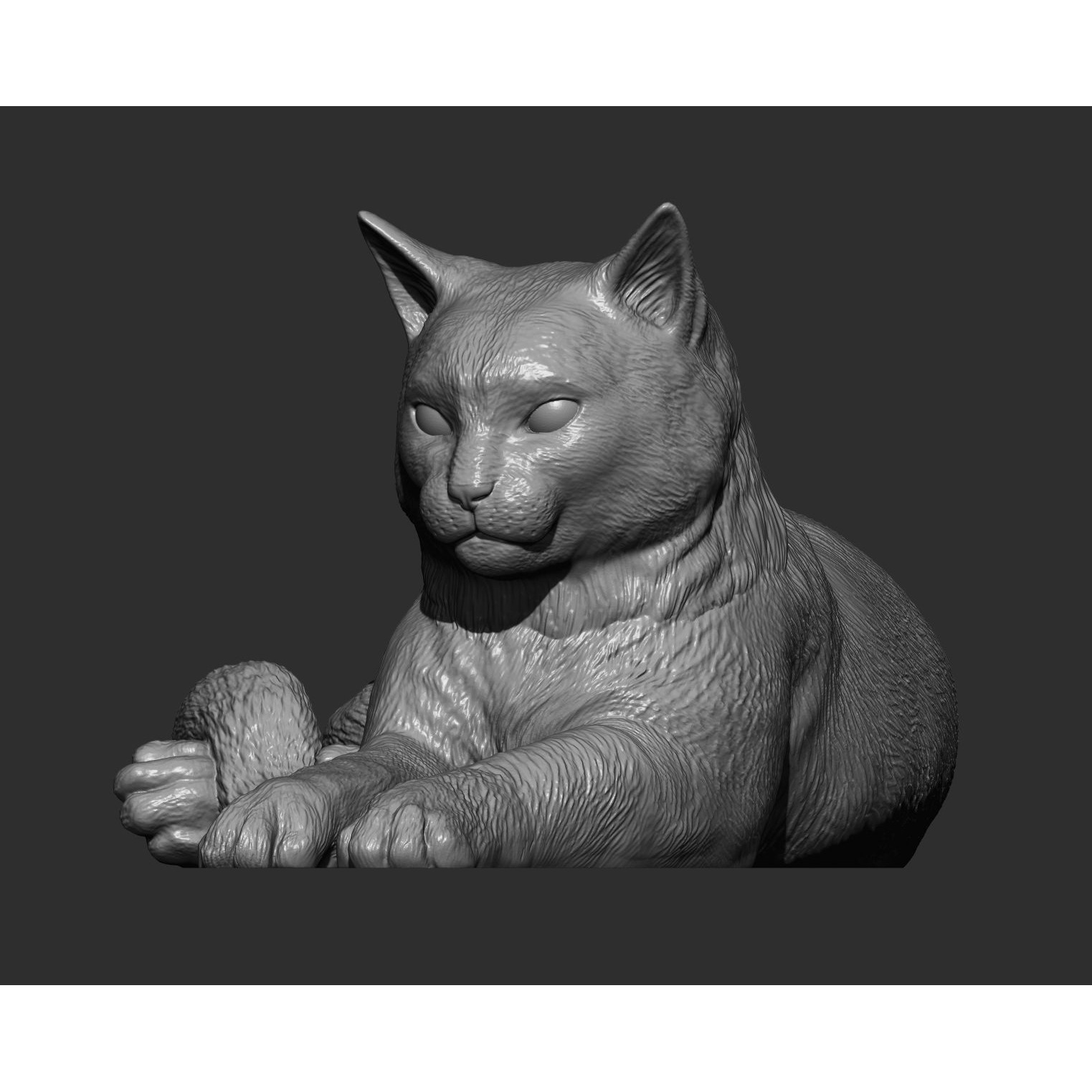 Cat for 3d printing 3D print model 4