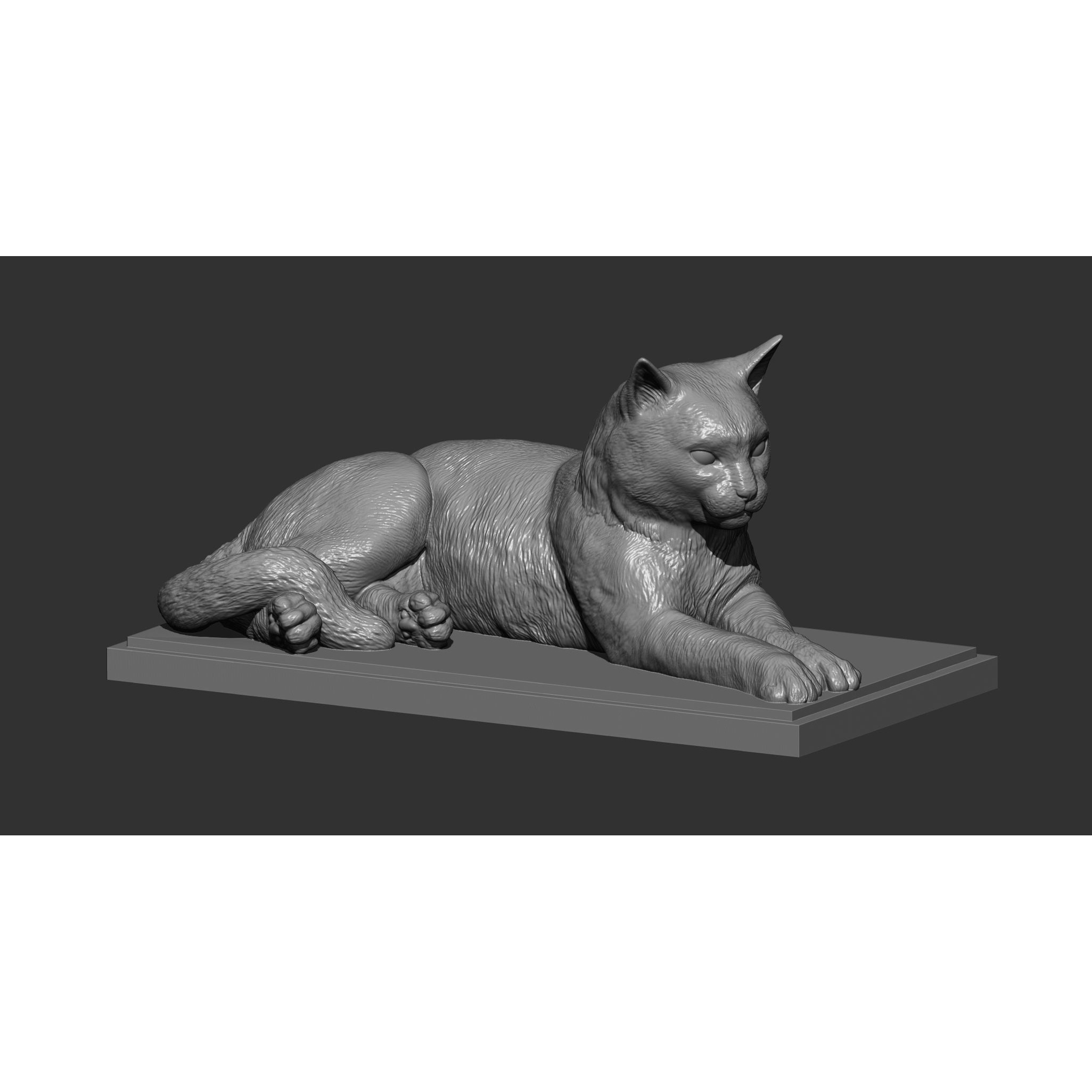 Cat for 3d printing 3D print model 5