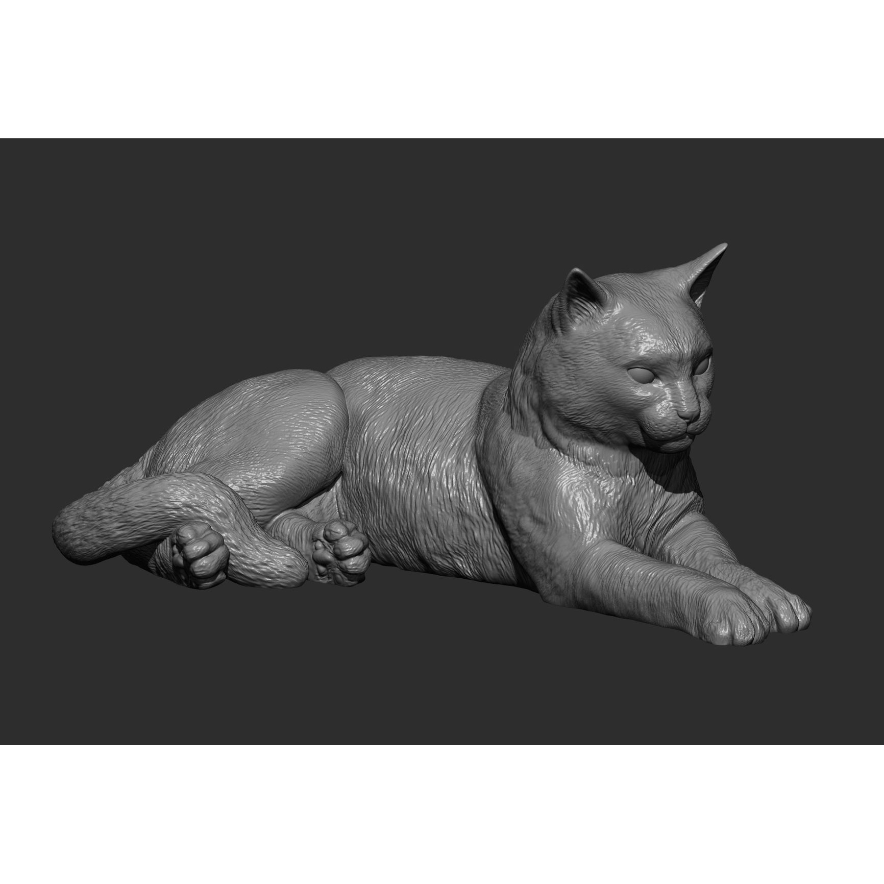 Cat for 3d printing 3D print model 6