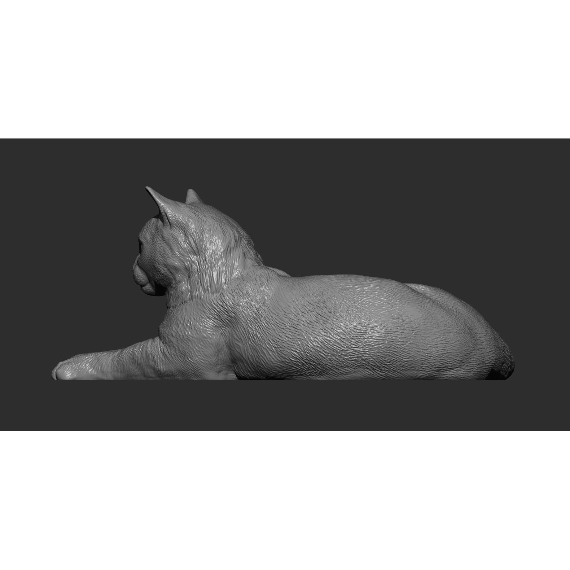 Cat for 3d printing 3D print model 7
