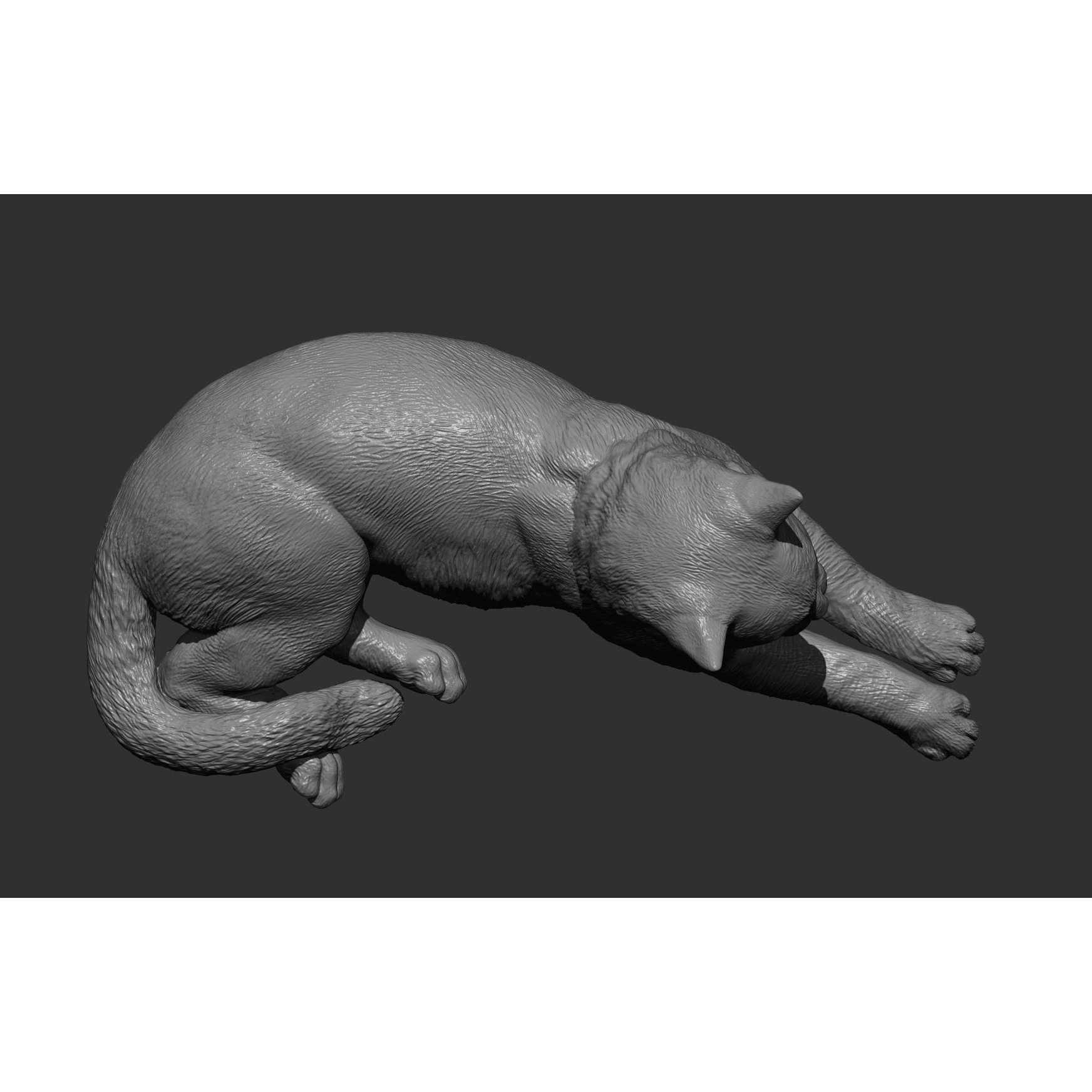 Cat for 3d printing 3D print model 8