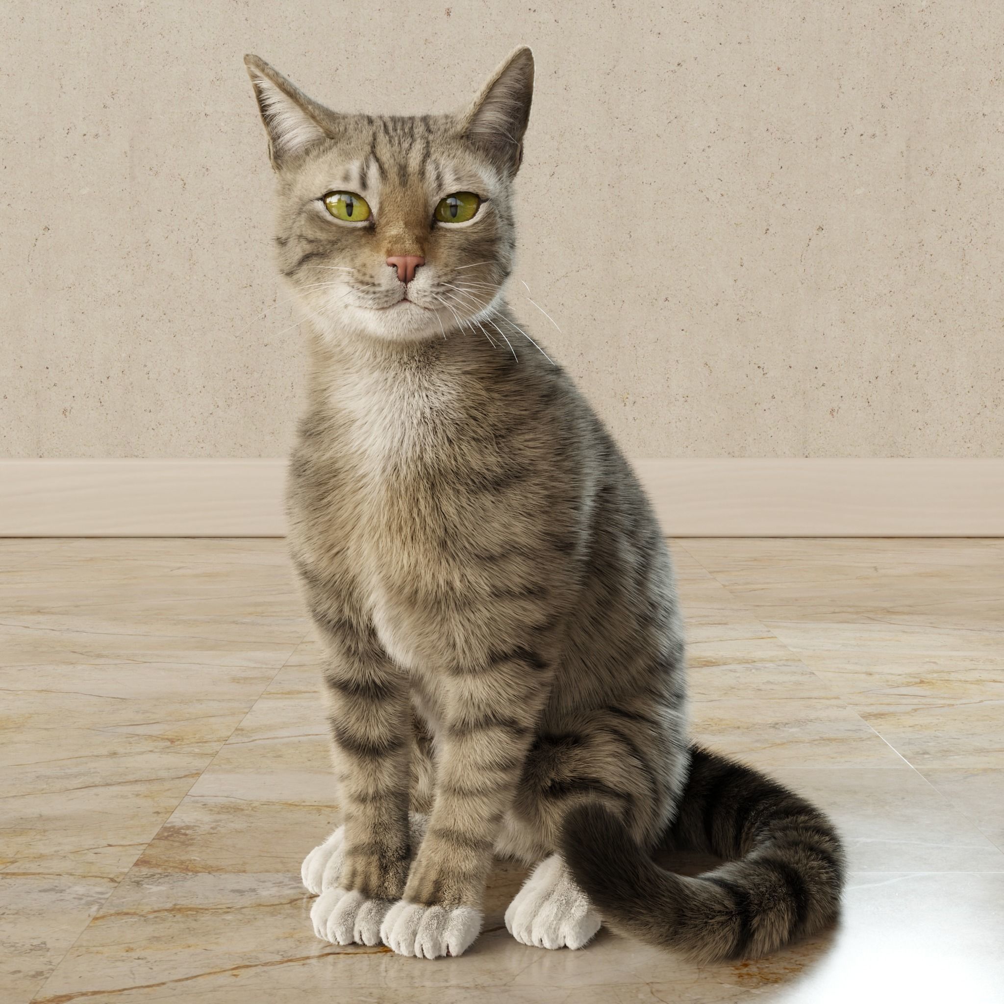 Cat Gray Tabby Rigged Animated 3D model 10