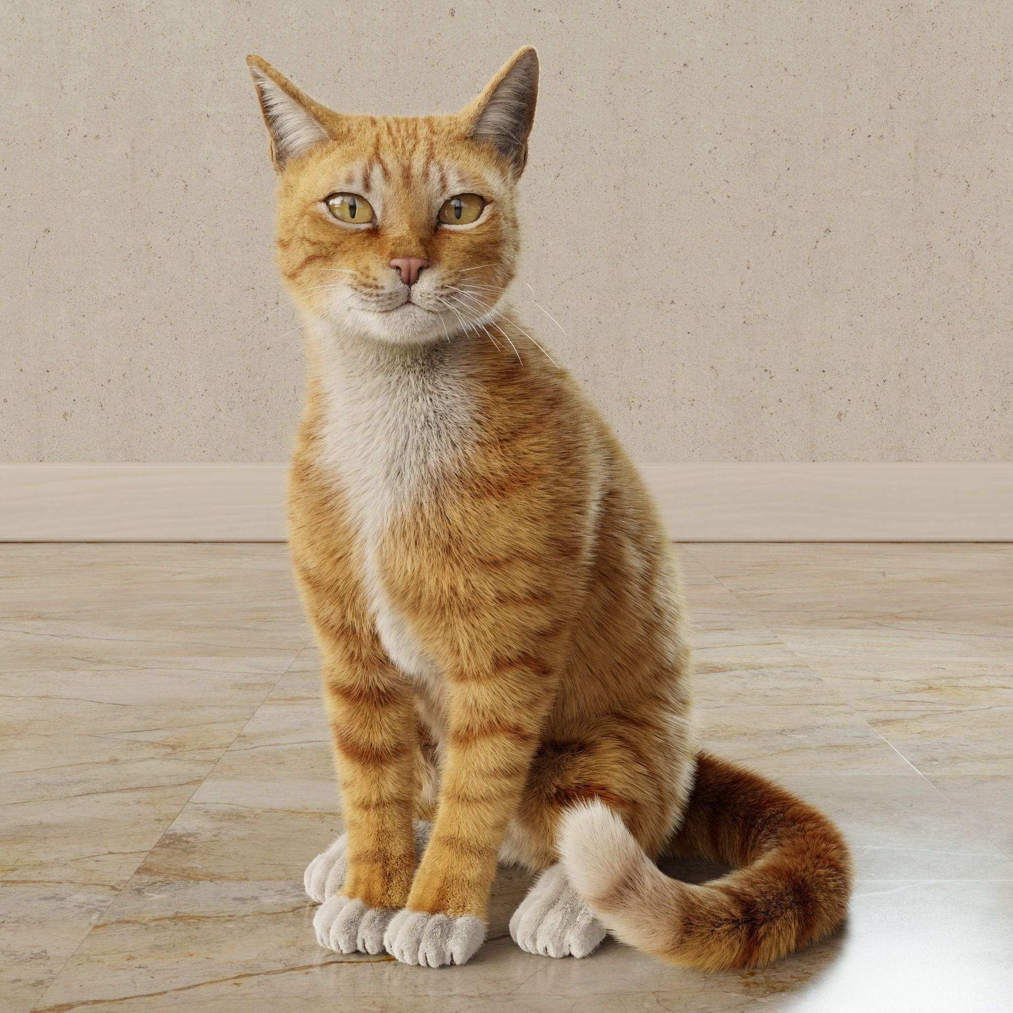 Cat Orange Tabby Rigged Animated 3D model 10