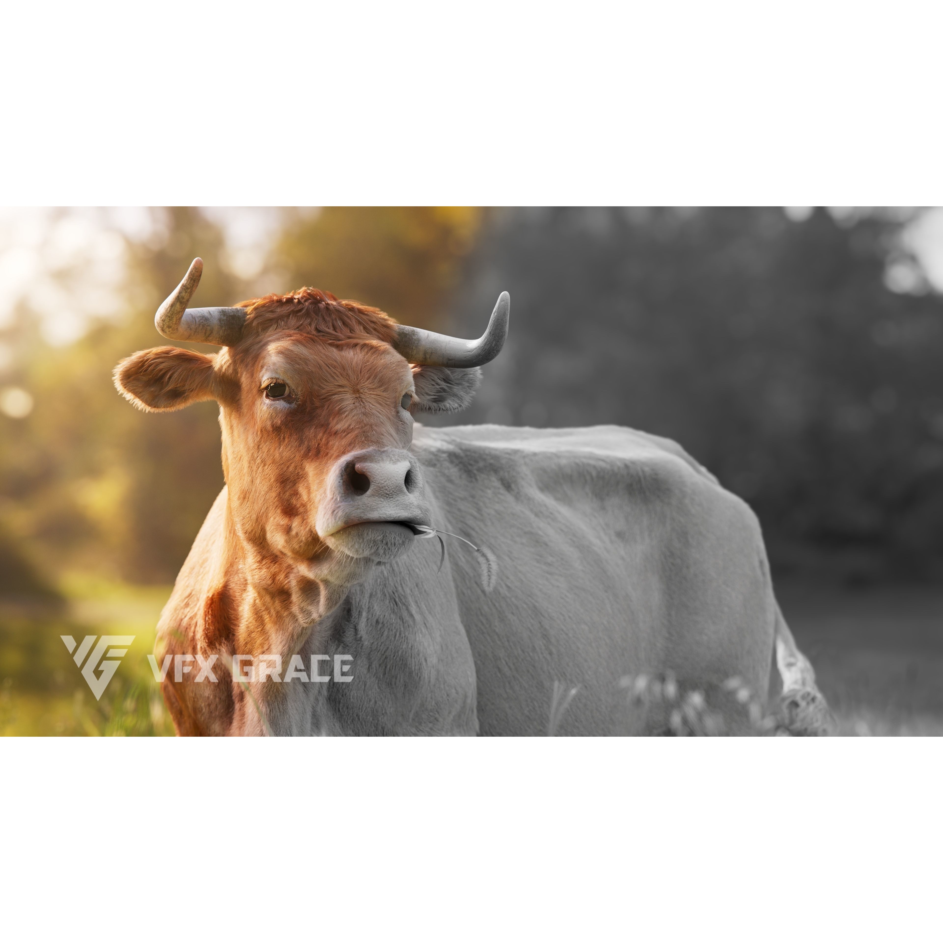 Cattle Cow Animated VFX Grace 3D model 3