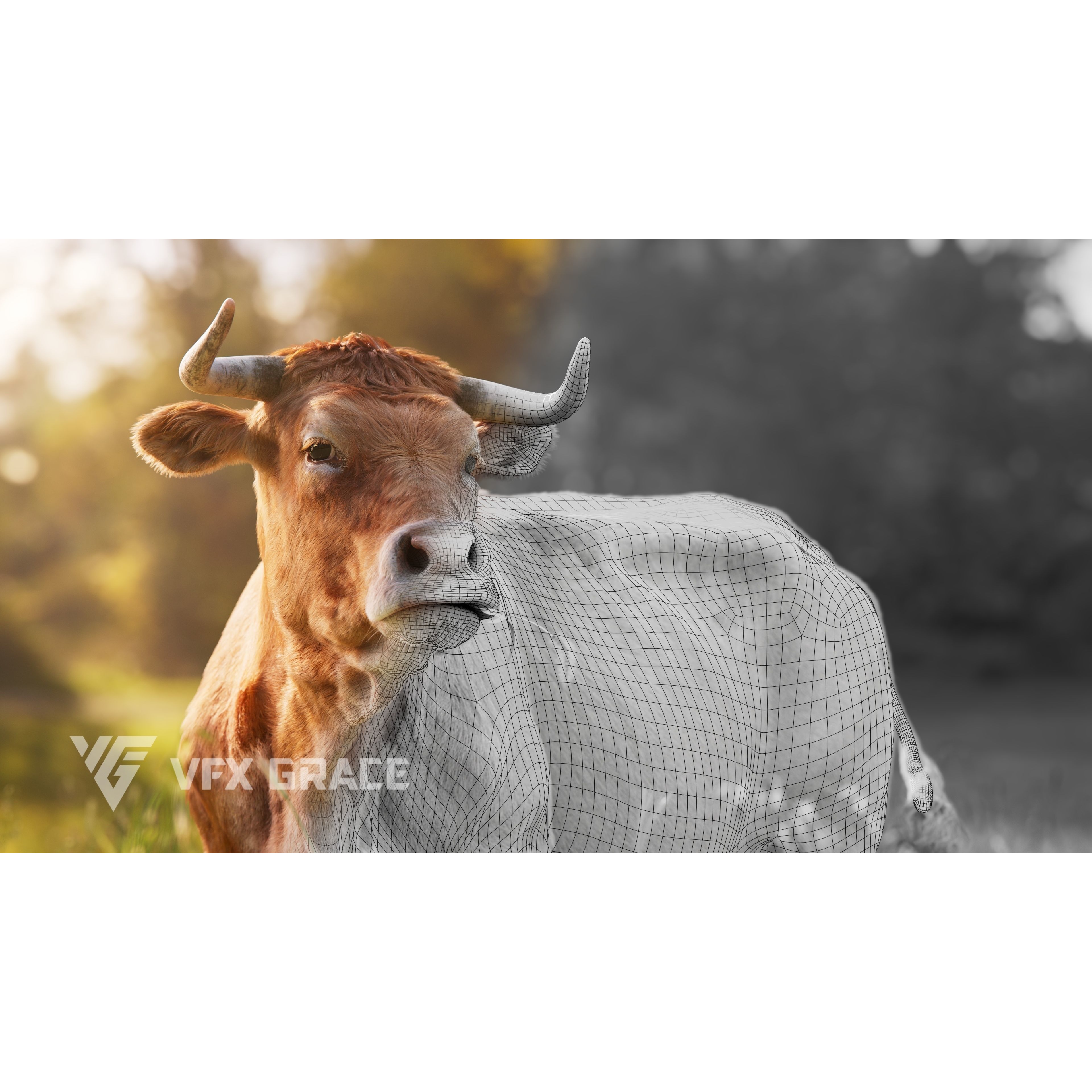 Cattle Cow Animated VFX Grace 3D model 4