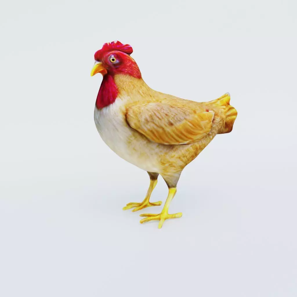 Chicken Free 3D model