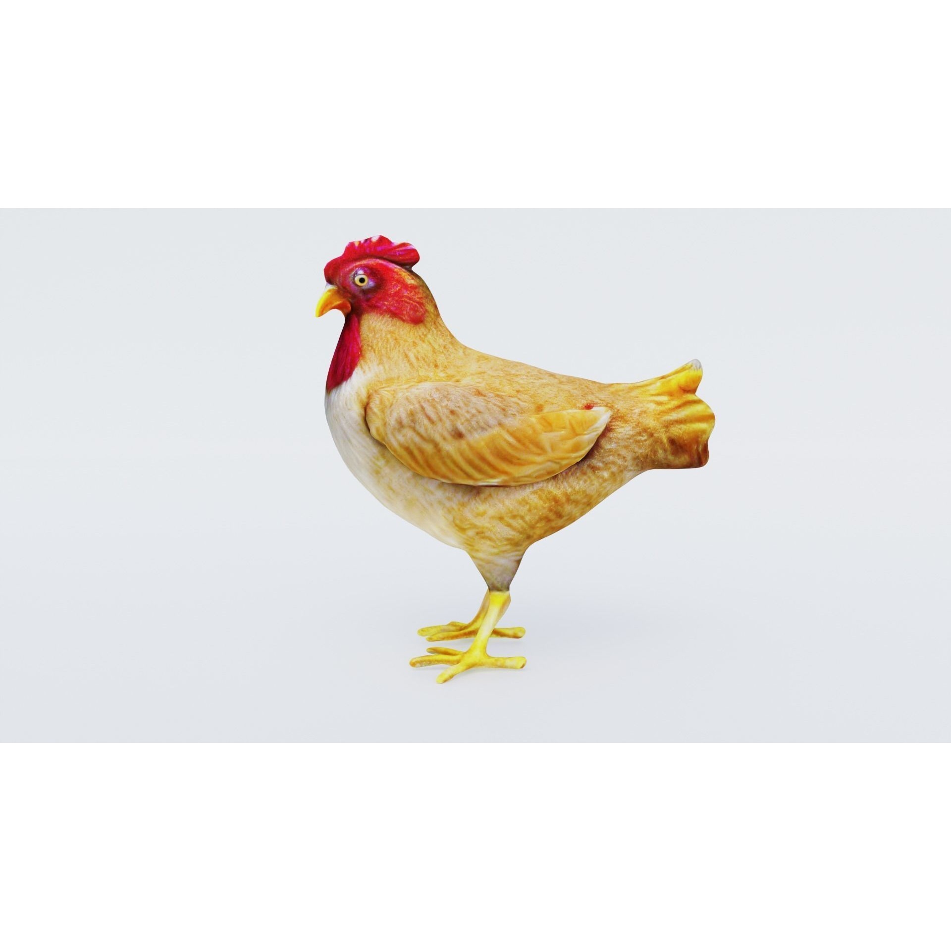 Chicken Free 3D model 2
