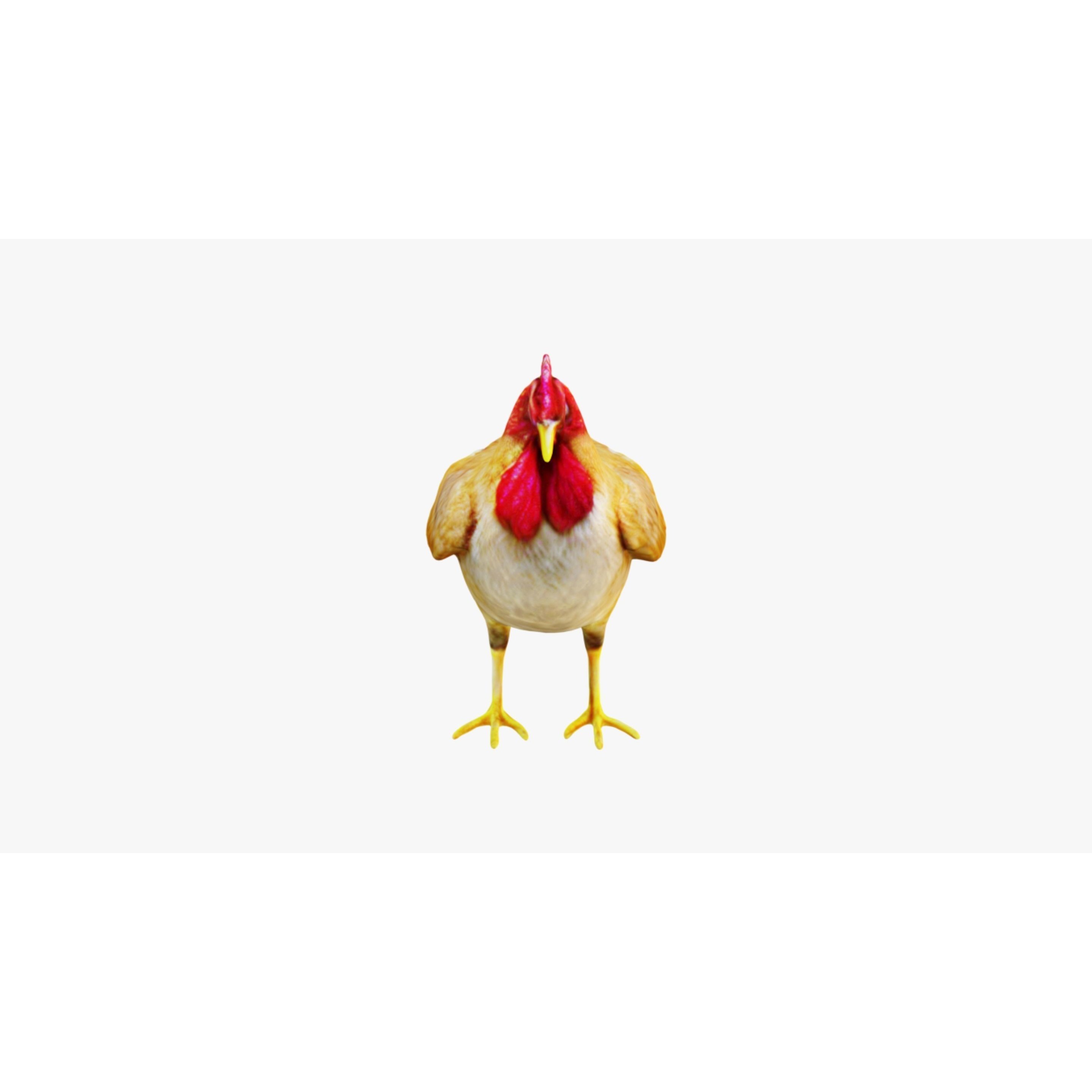 Chicken Free 3D model 3