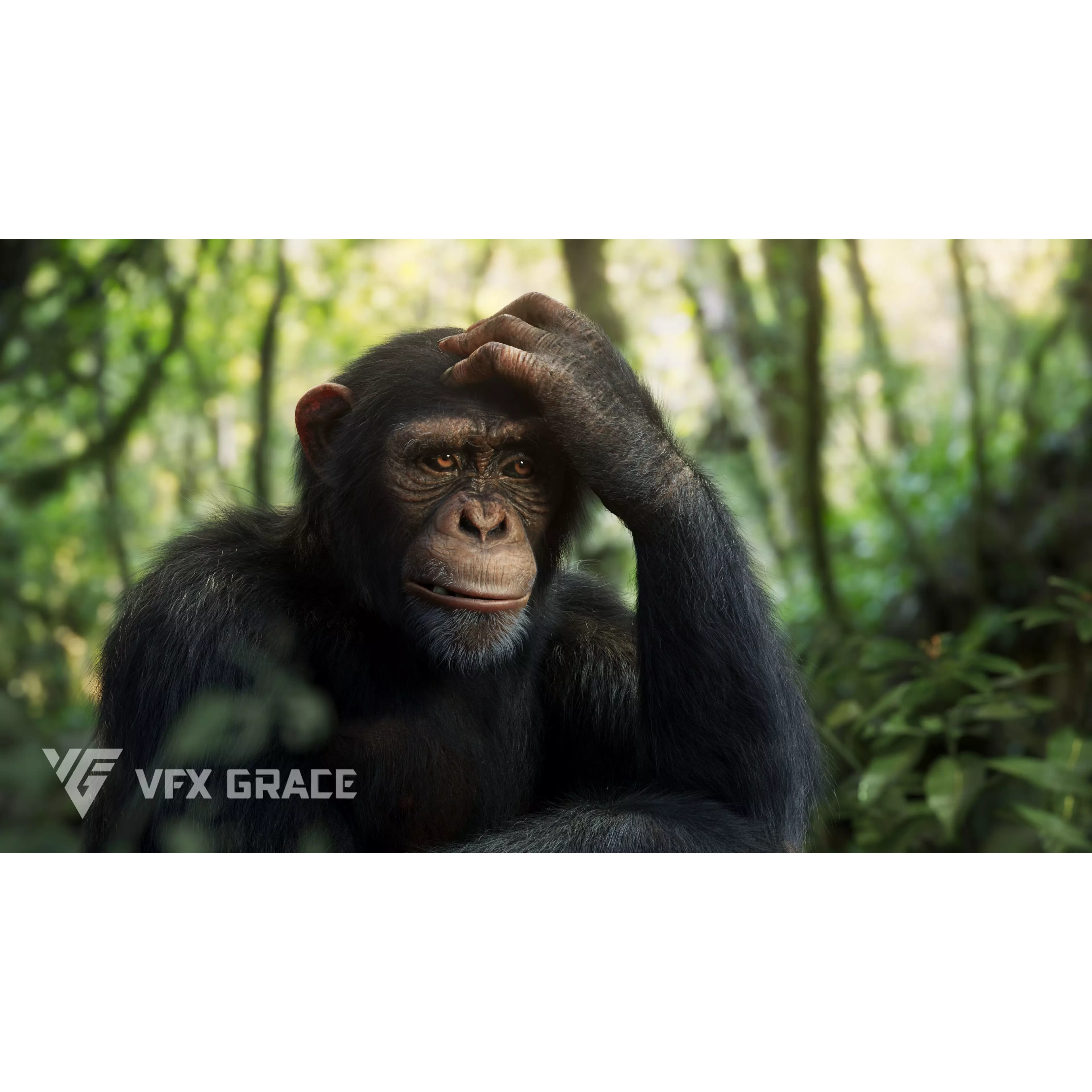 Chimpanzee Animated VFX Grace 3D model