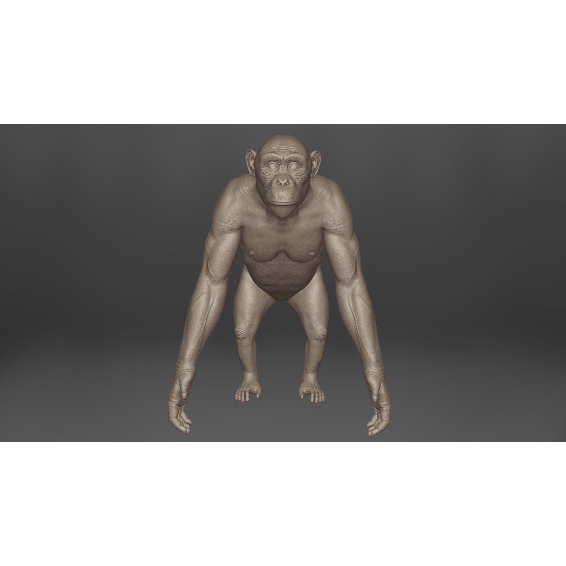 Chimpanzee Animated VFX Grace 3D model 10