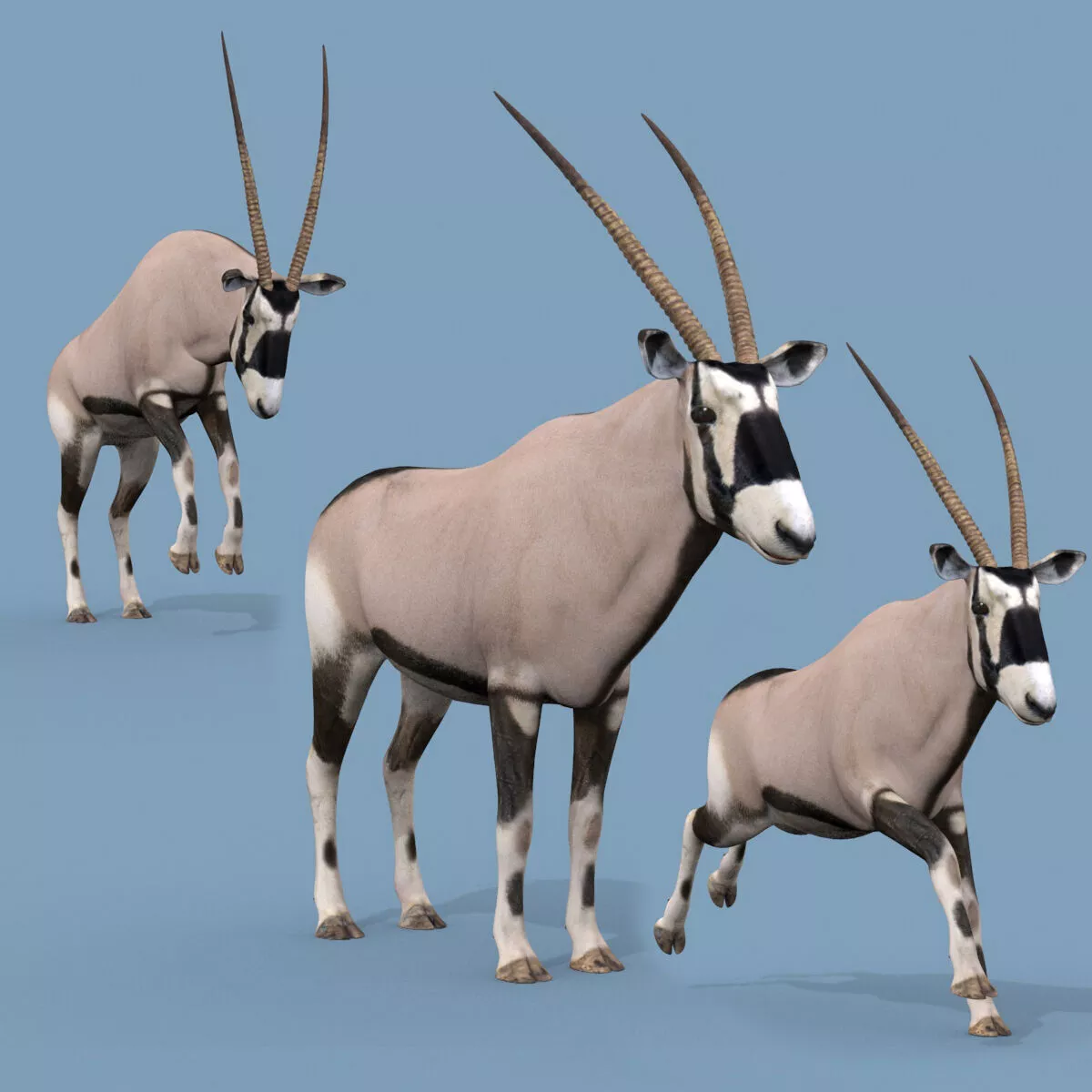 Colossal Animal Pack HD - Animated 3D model 2