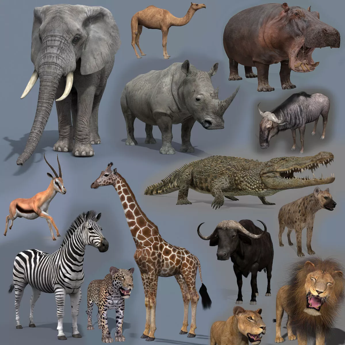 Colossal Animal Pack HD - Animated 3D model 3