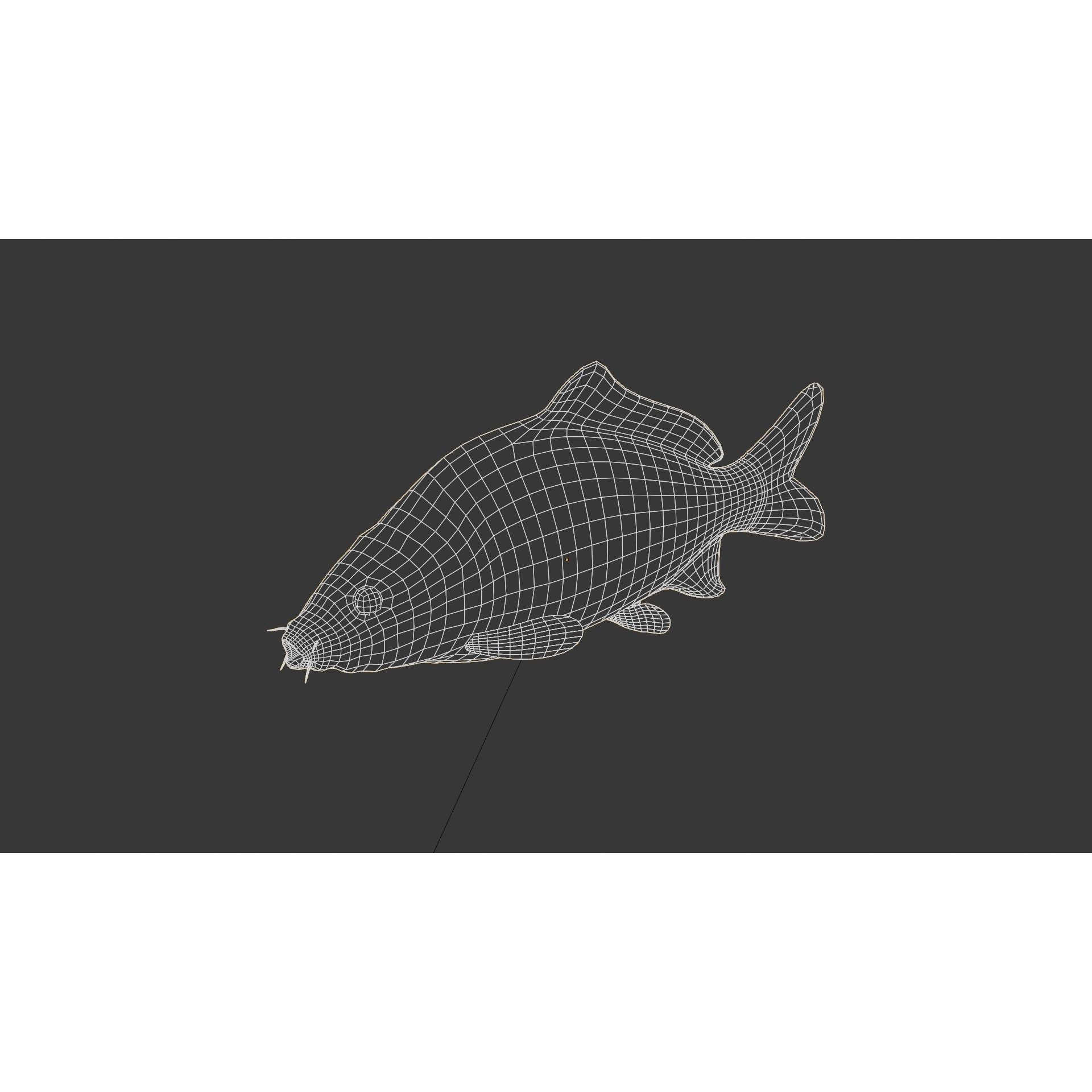 Common carp fish Free low-poly 3D model 6