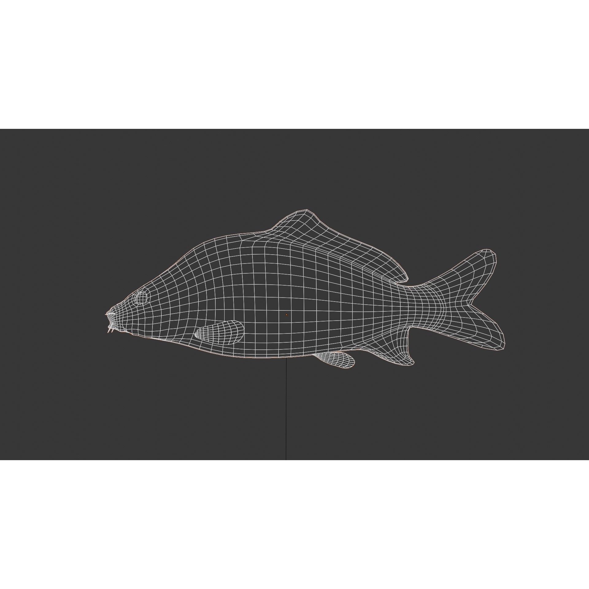 Common carp fish Free low-poly 3D model 7