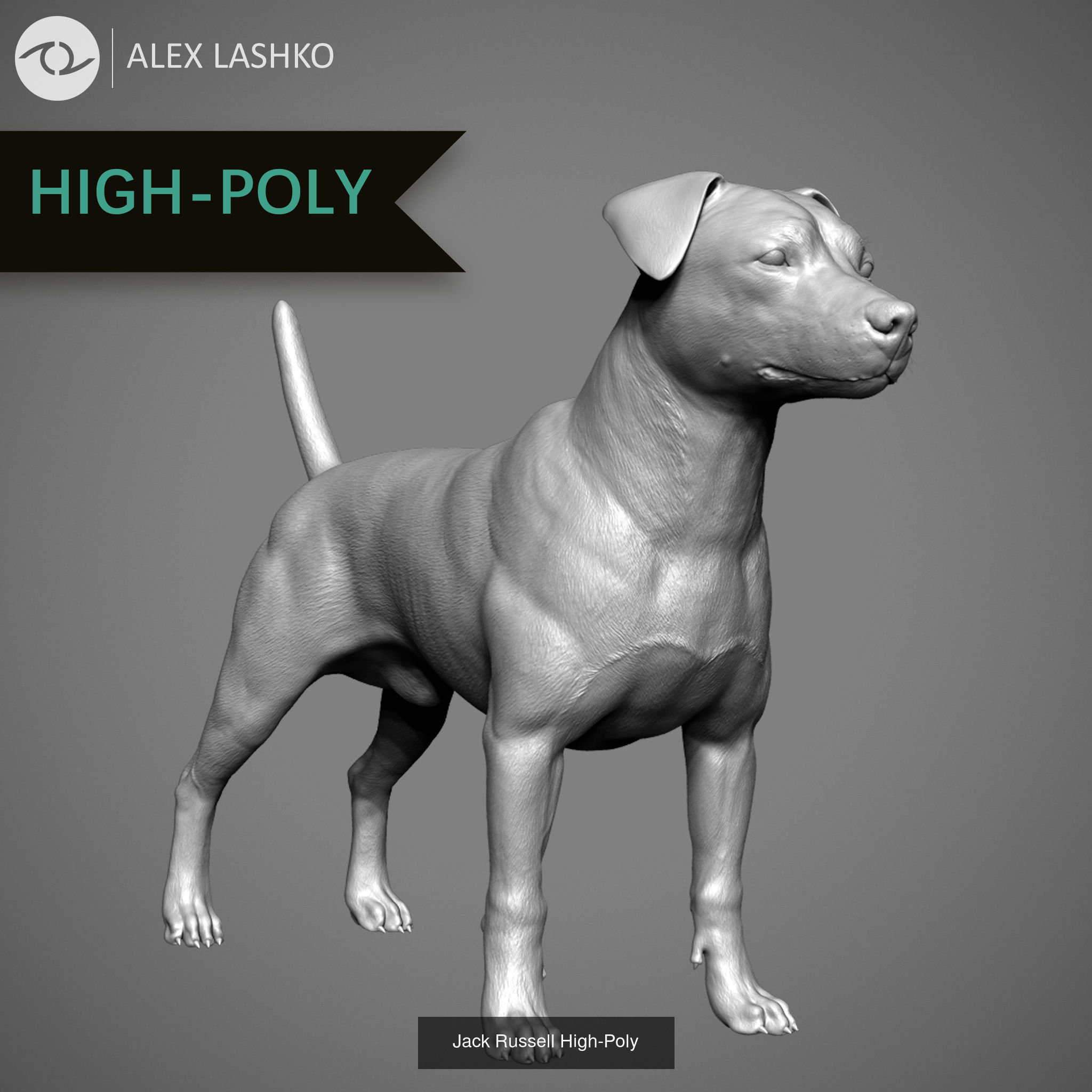 Companion Dog Pack High-Poly Collection 2