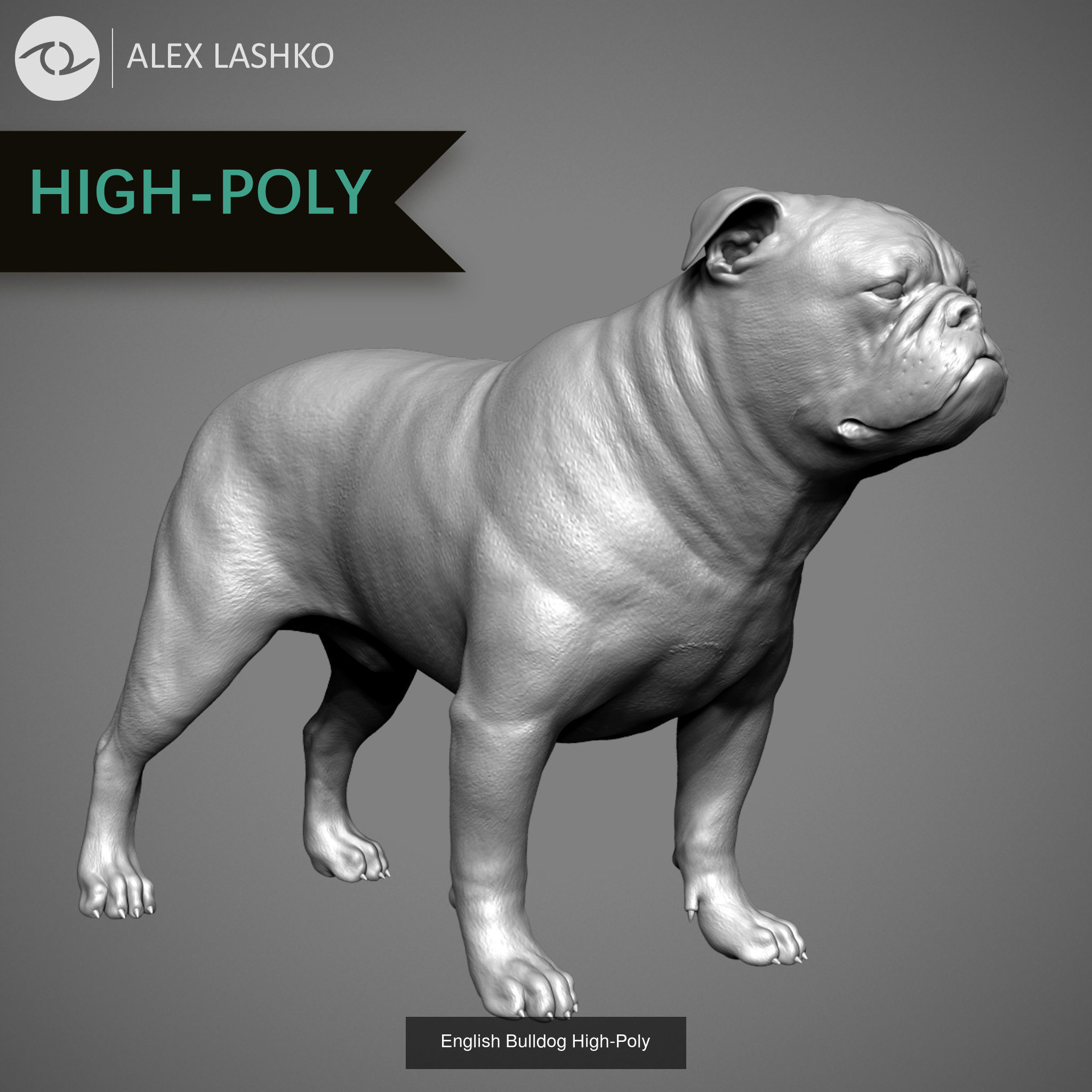 Companion Dog Pack High-Poly Collection 3