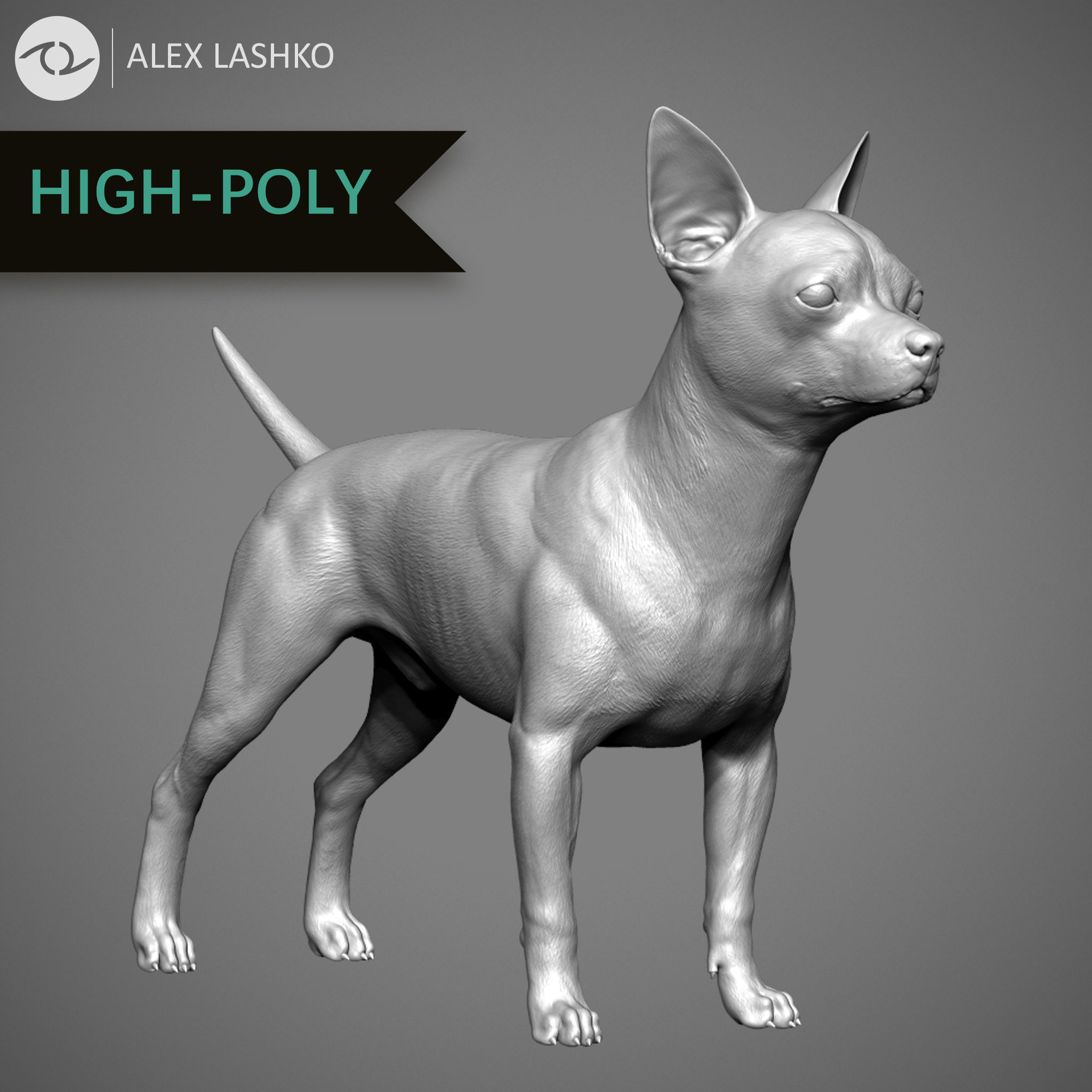 Companion Dog Pack High-Poly Collection 4