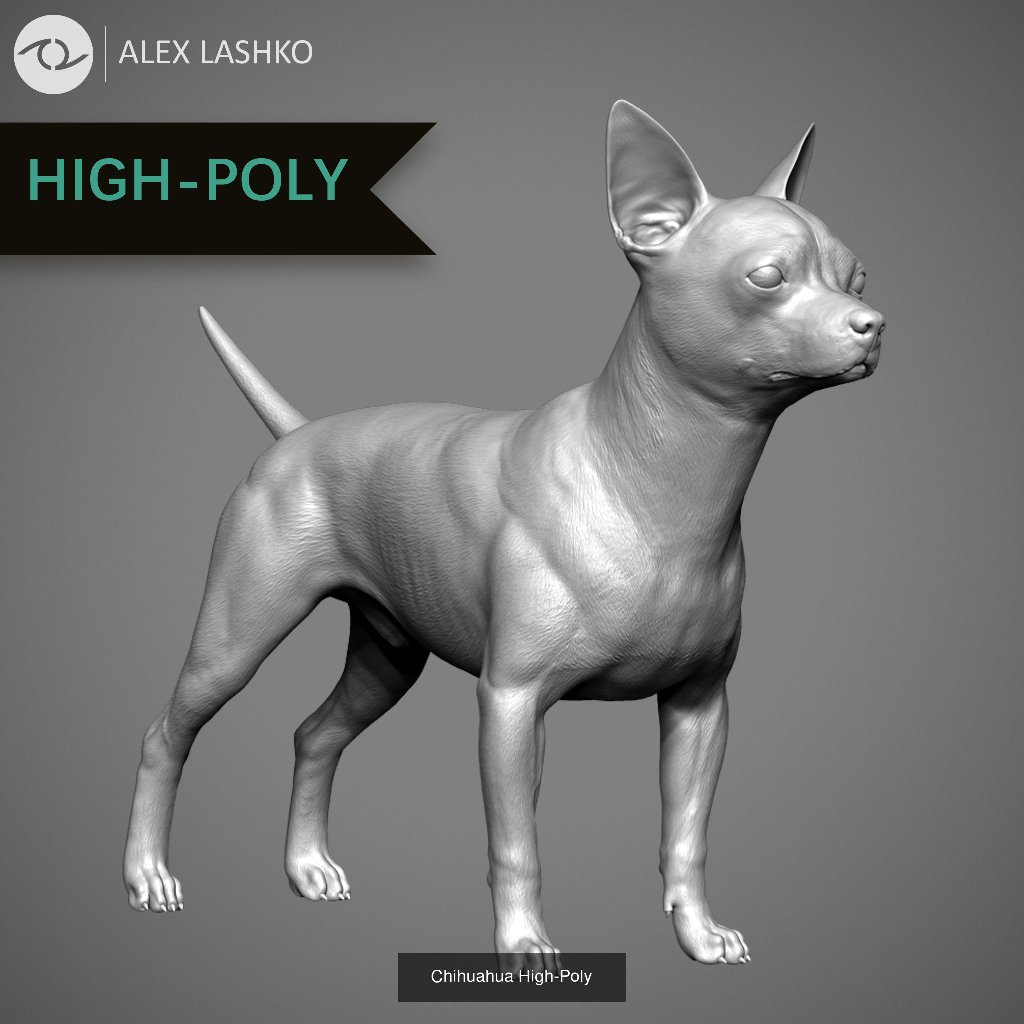 Companion Dog Pack High-Poly Collection 5