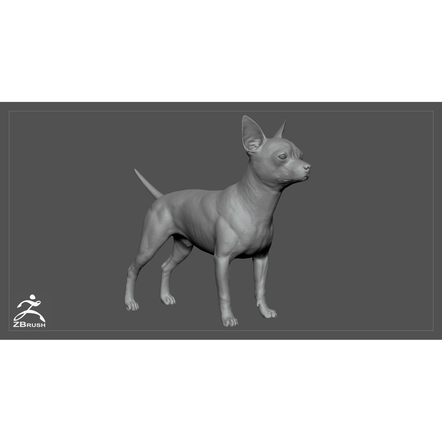Companion Dog Pack High-Poly Collection 6