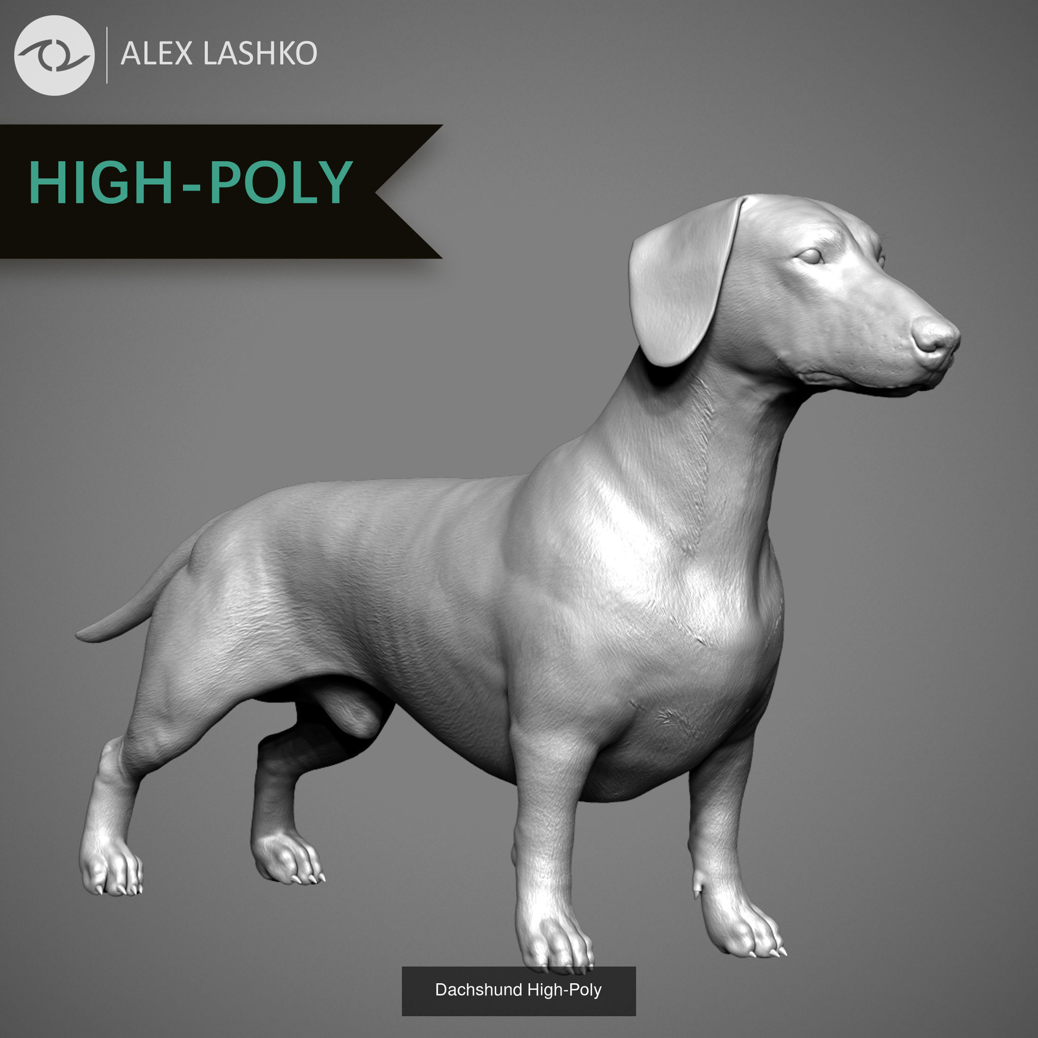 Companion Dog Pack High-Poly Collection 7