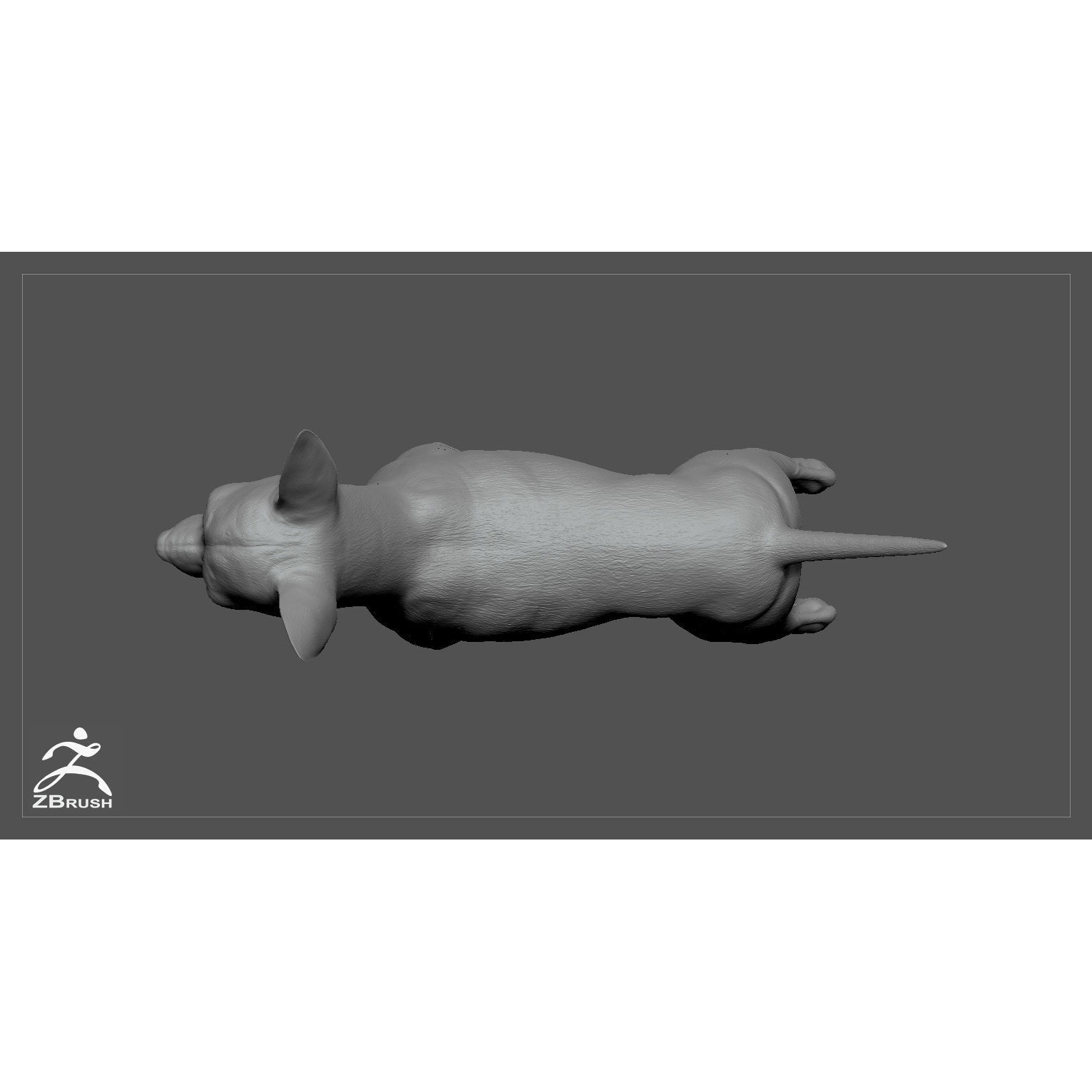 Companion Dog Pack High-Poly Collection 8