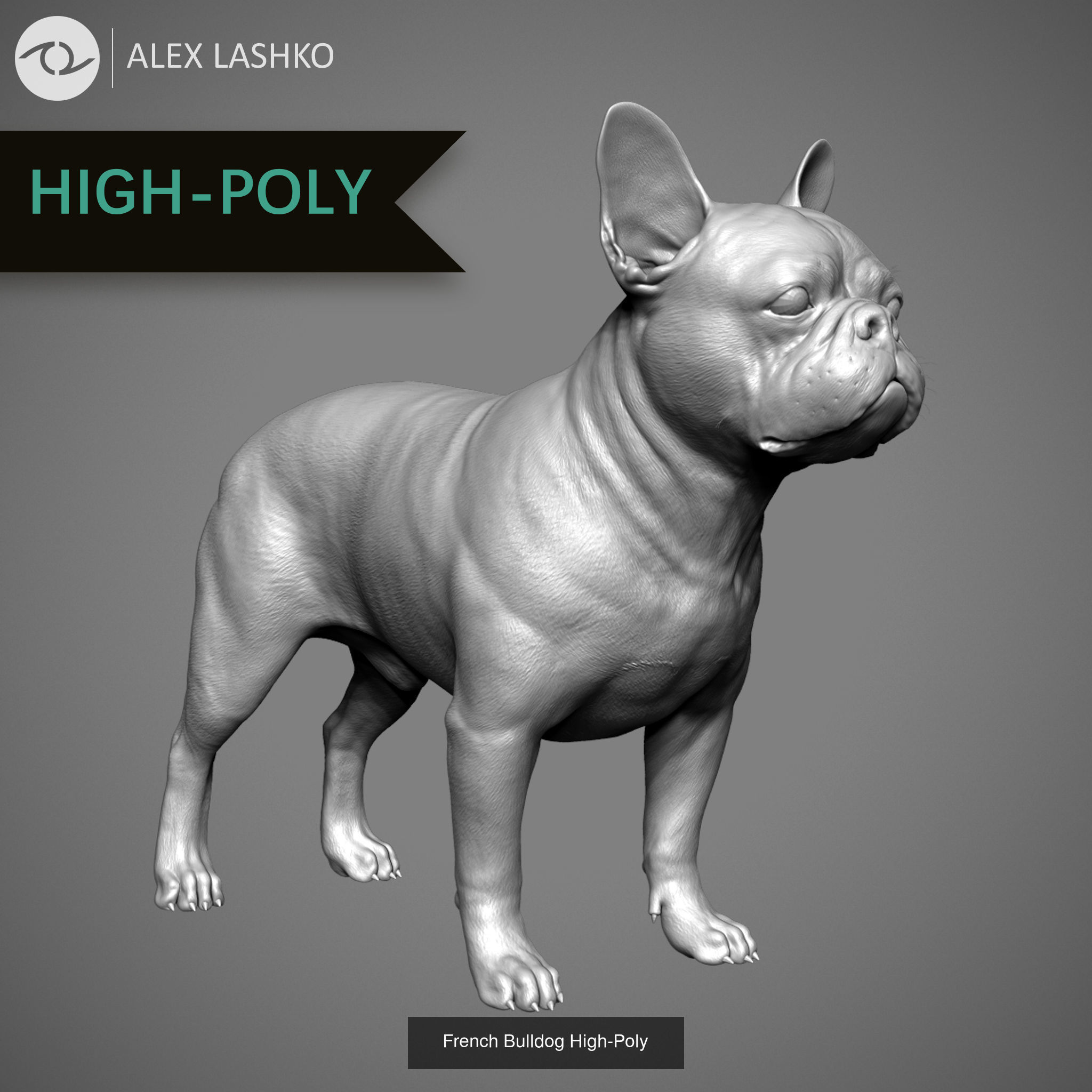 Companion Dog Pack High-Poly Collection 9