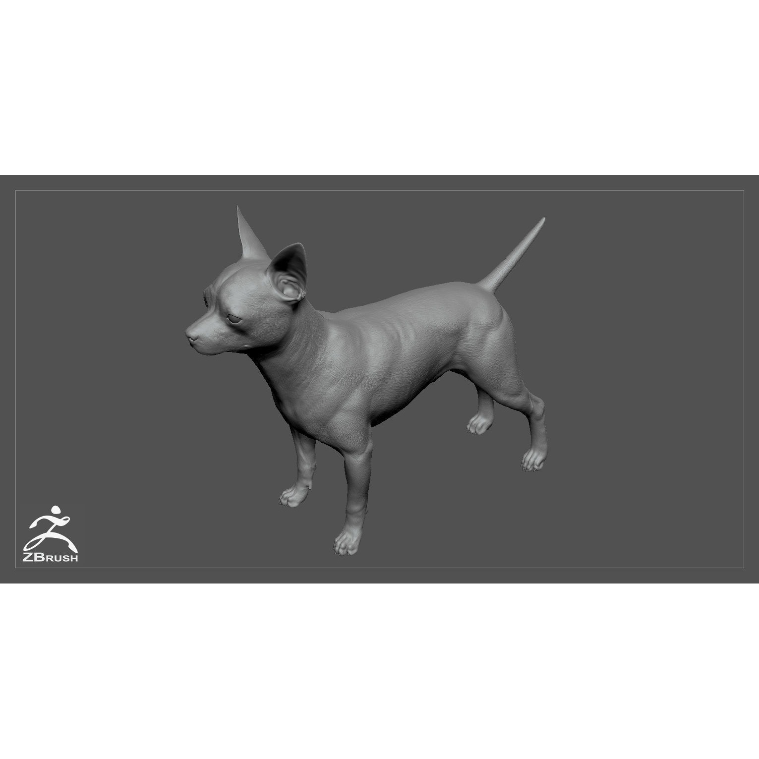 Companion Dog Pack High-Poly Collection 10