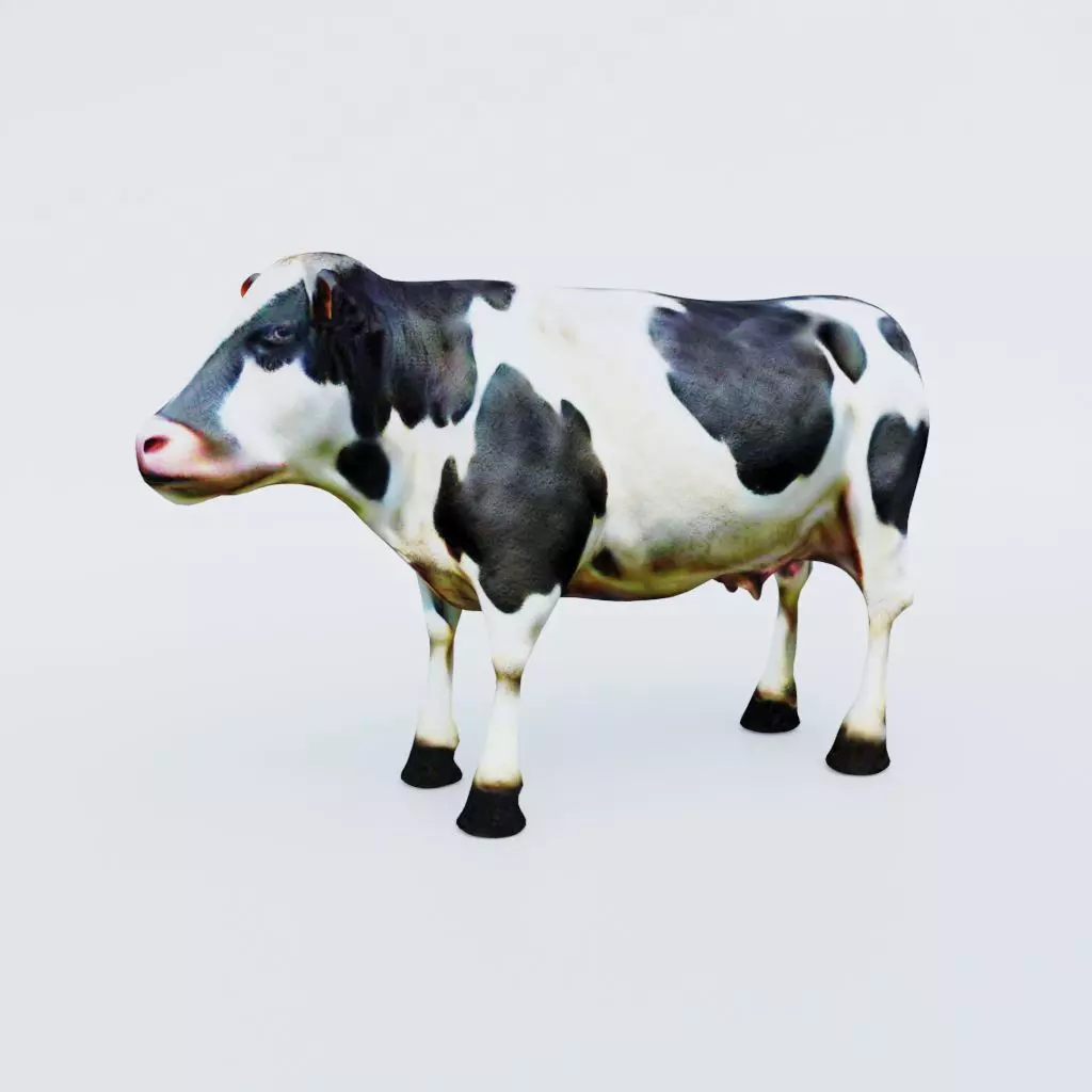 Cow Animal Free 3D model