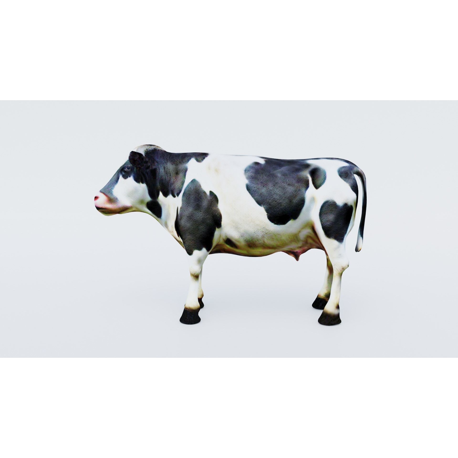 Cow Animal Free 3D model 2
