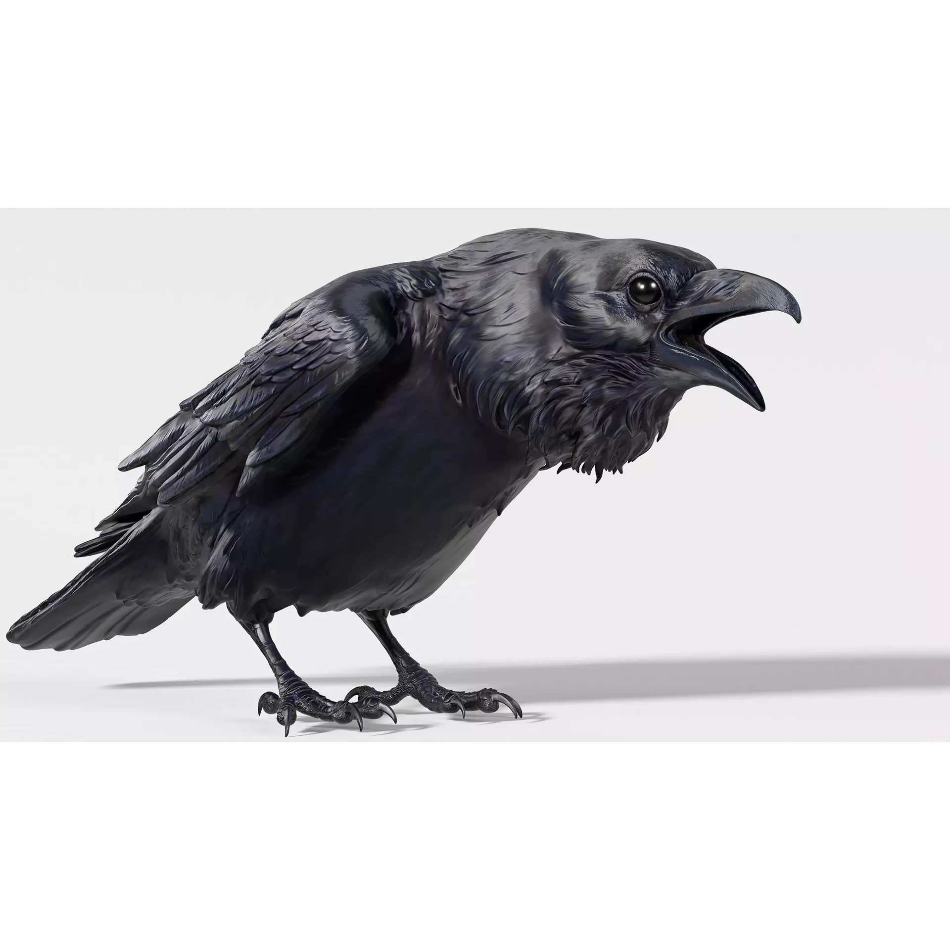 Crow open beak- 3D Sculpting - High Poly 3D print model