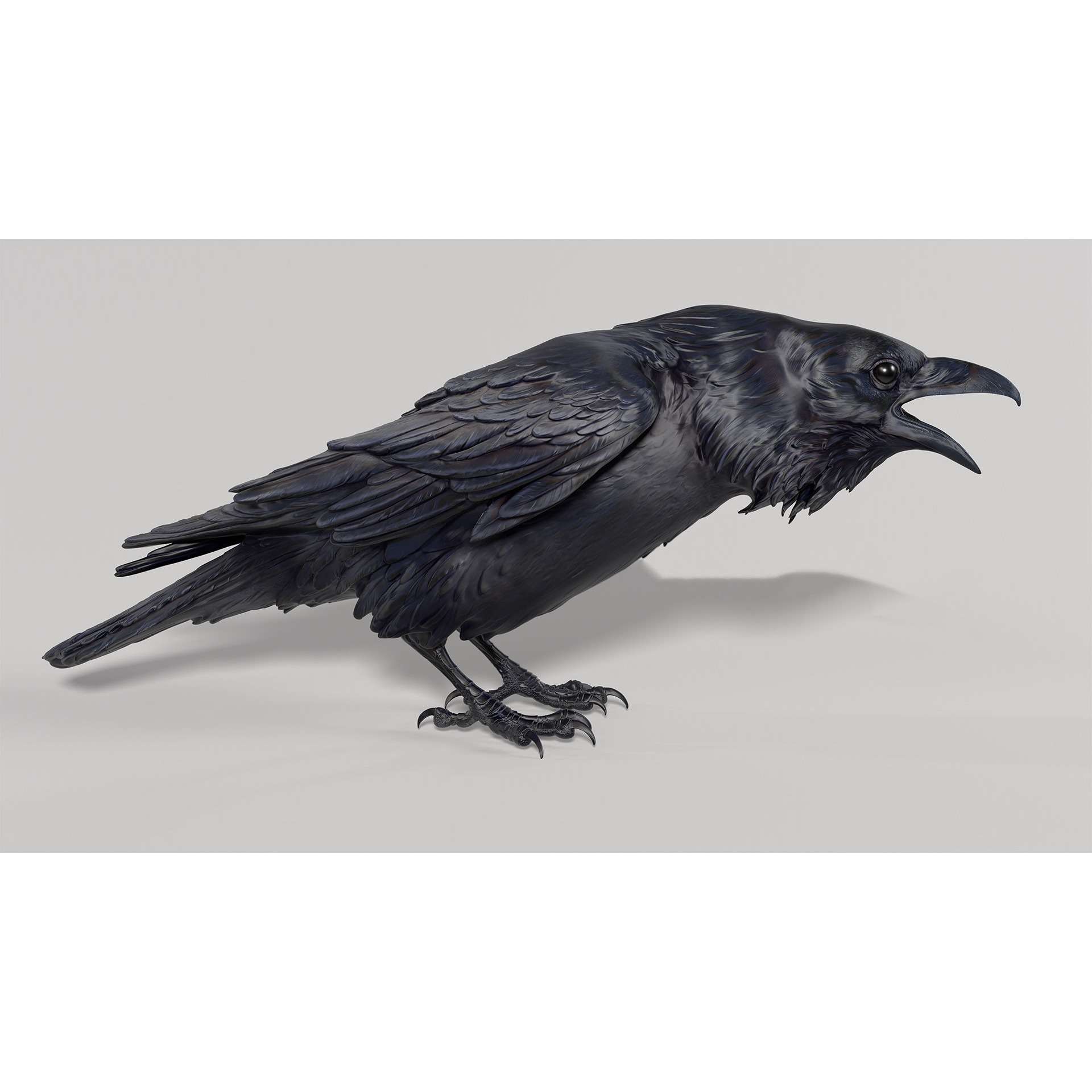 Crow open beak- 3D Sculpting - High Poly 3D print model 2